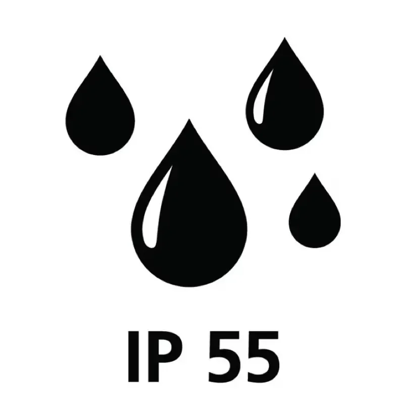 1.webp