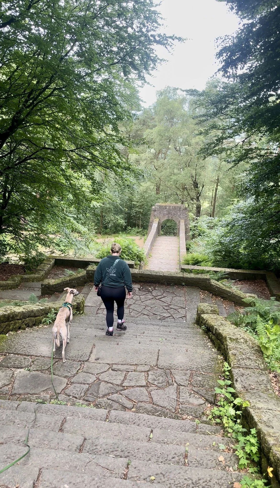 A woman walking her dog down a stone staircase in a lush green forest, approaching a small stone bridge.