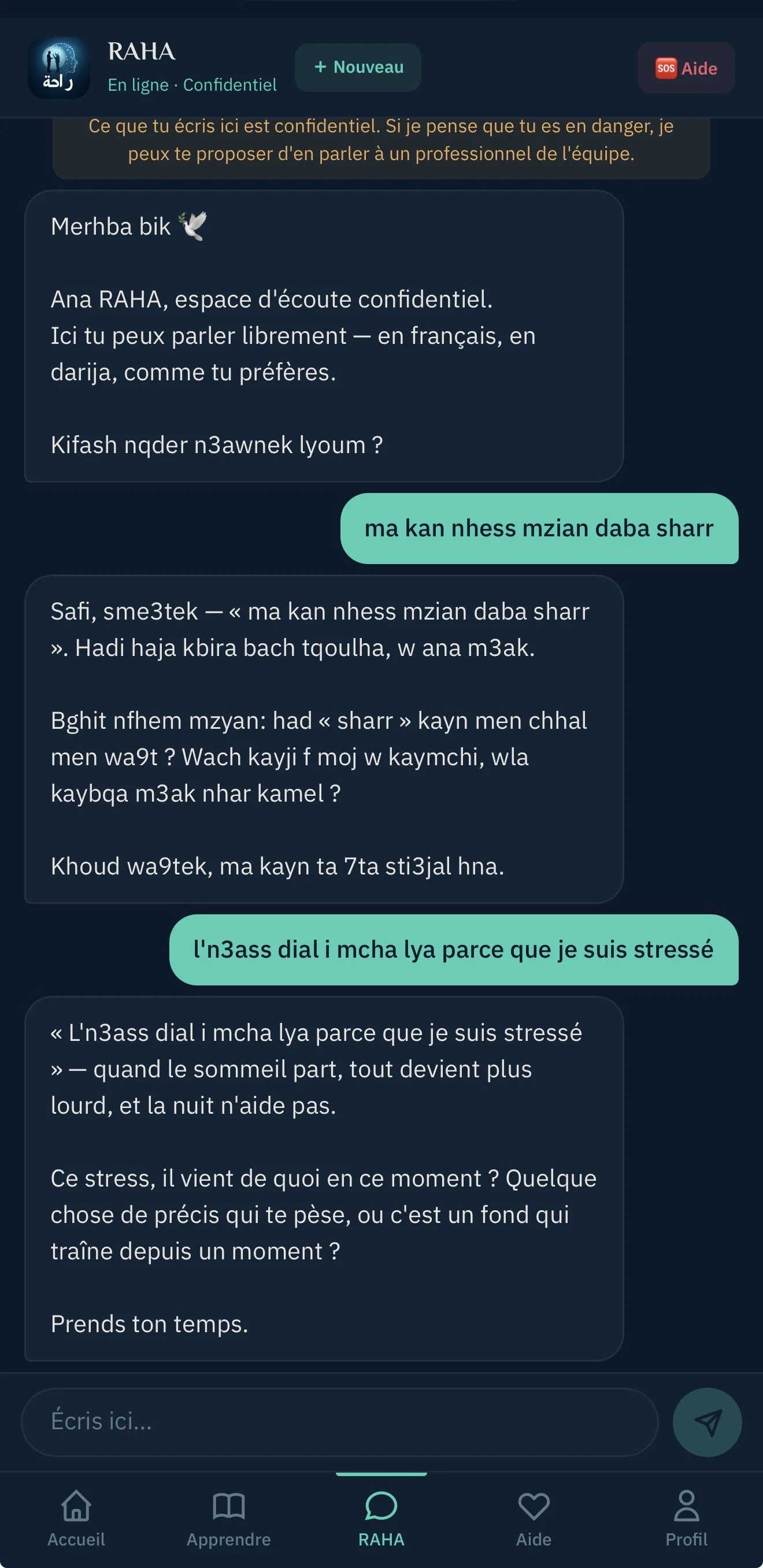 Conversation avec RAHA en darija et en français