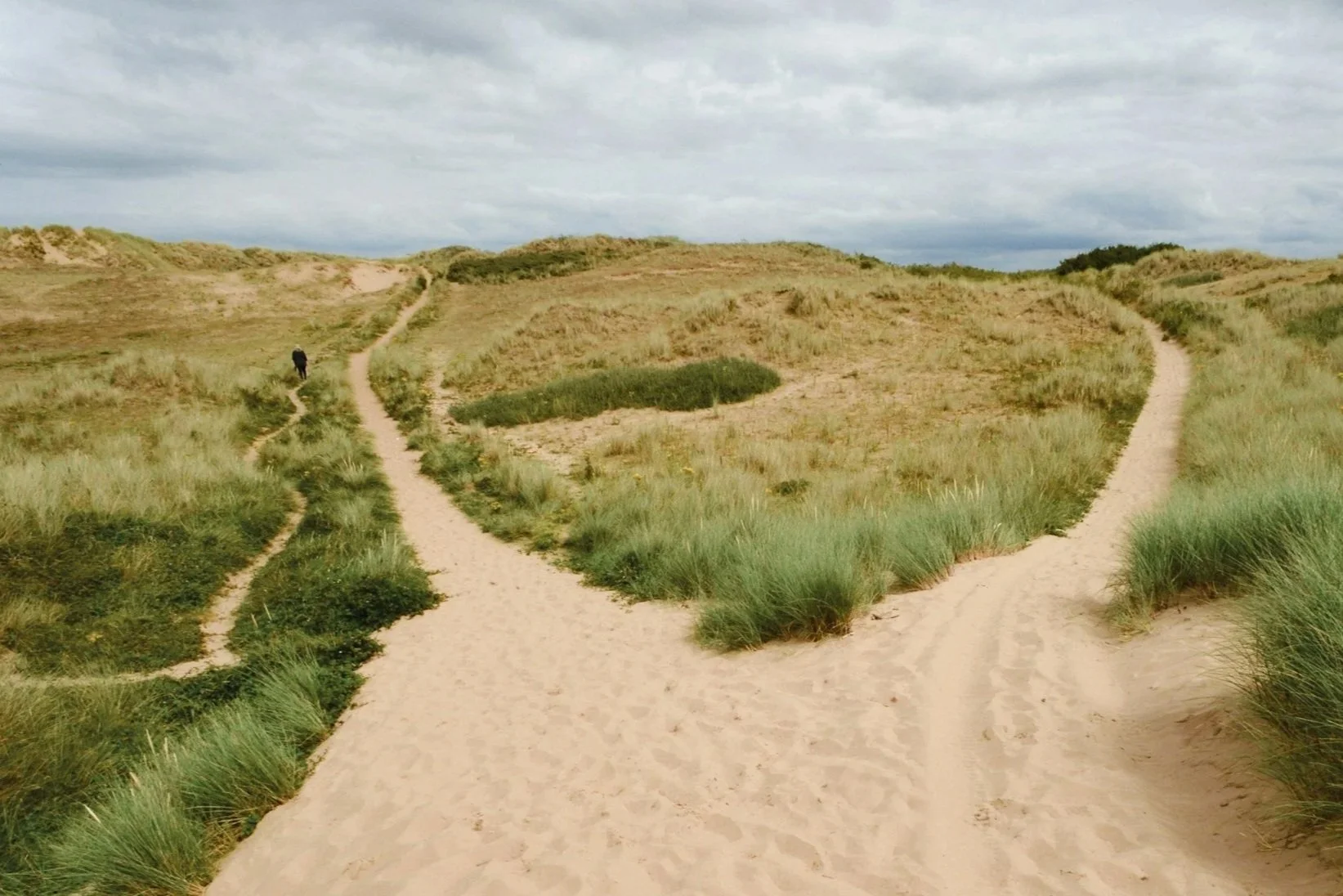 a maze of paths, but finding one that works