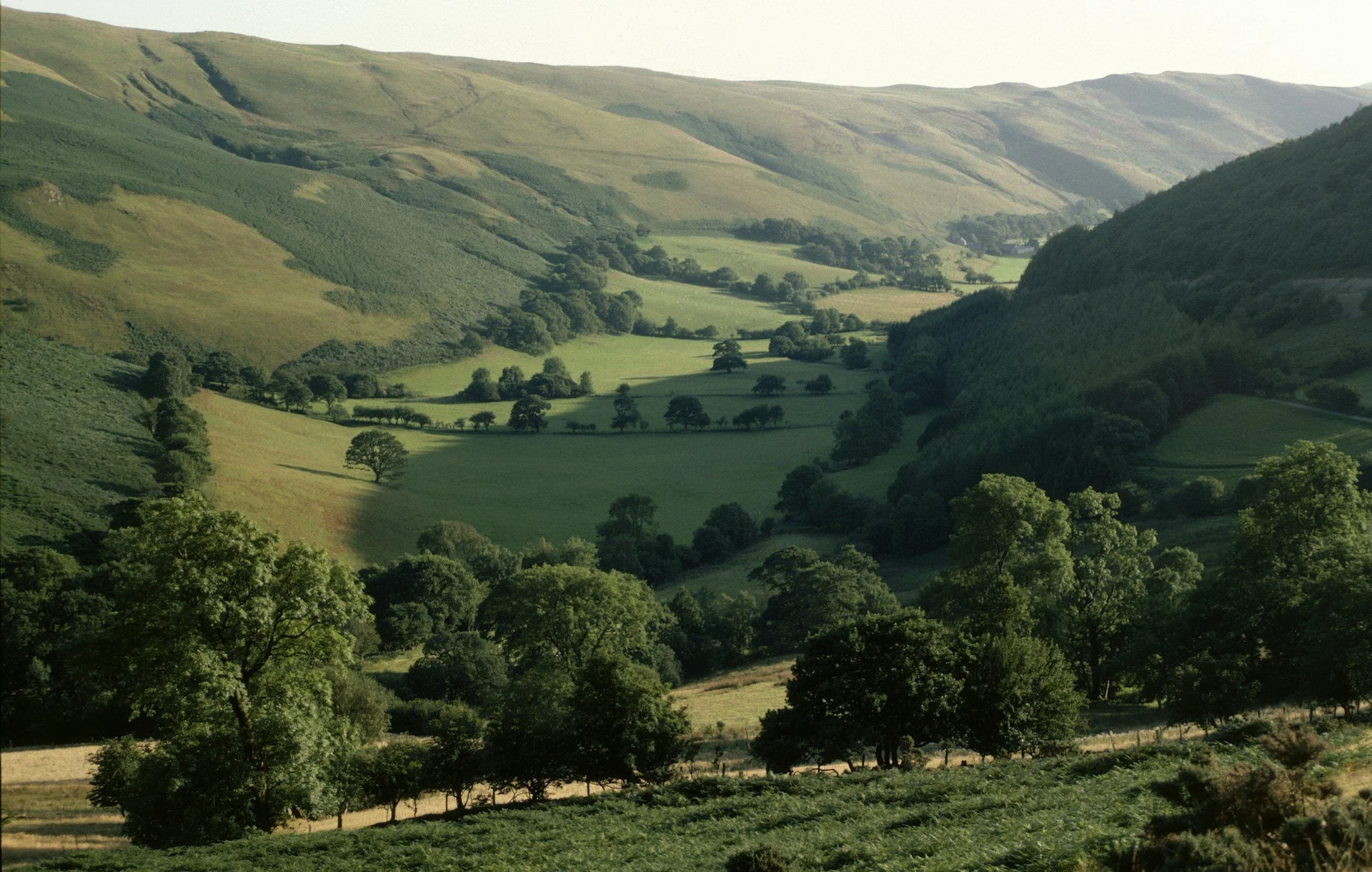 Countryside landscape representing calm, stability, and structured support in addiction recovery