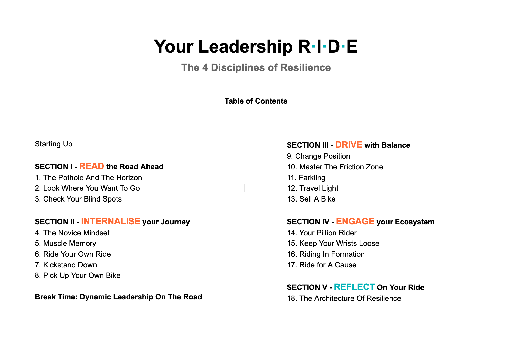 Contents - Your Leadership R·I·D·E book by Steve Muscat Azzopardi