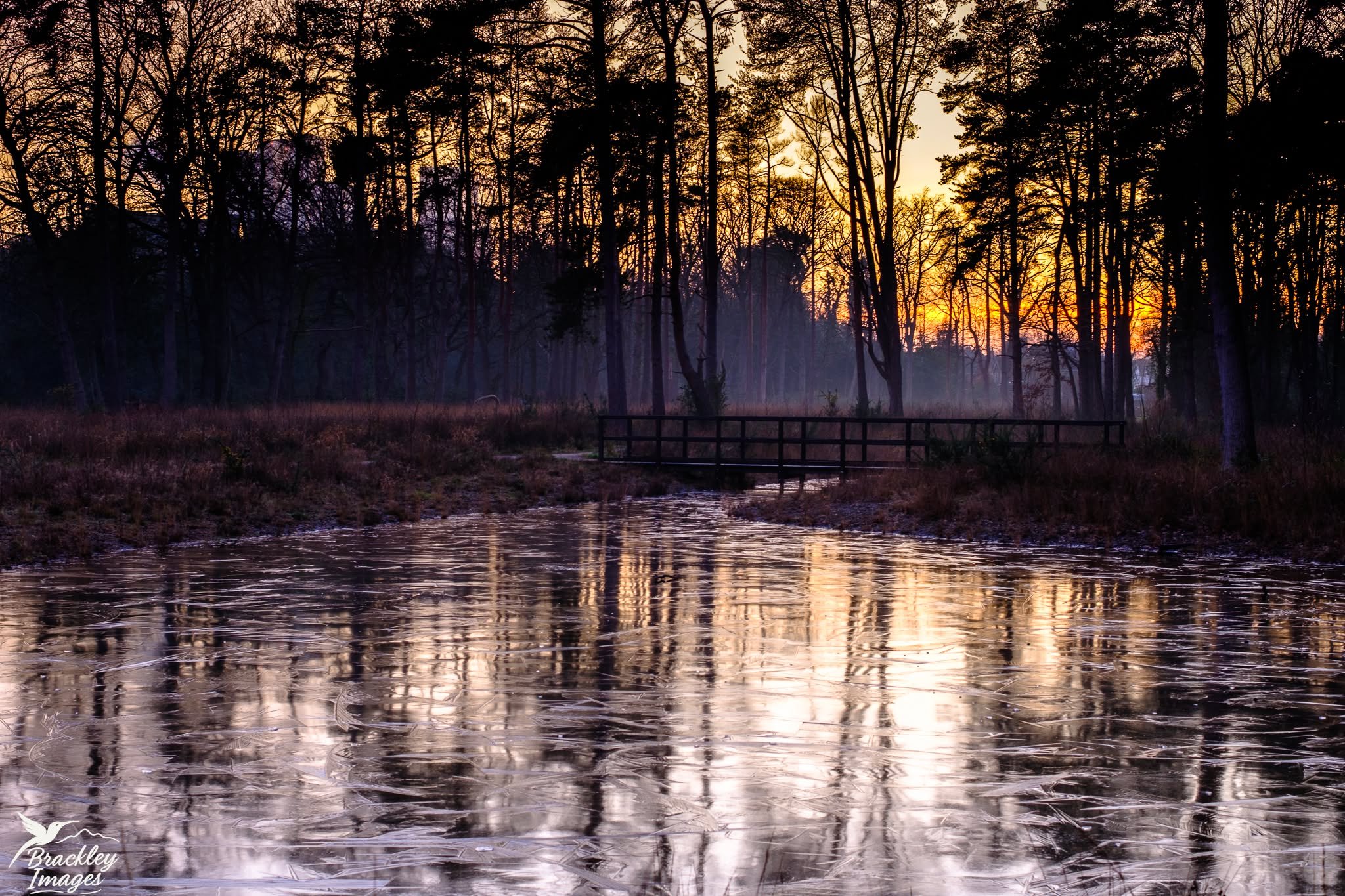 Saying goodbye to 2025 with a lovely sunset over Wheatsheaf Lakes in Woking. I wonder what the first day of 2026 will bring?