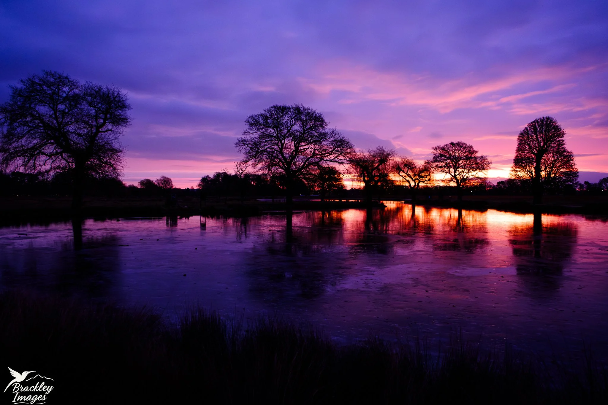 Sunrise reflecting on the ice may be my new favourite thing. Here's a selection of photos from Bushy Park early this morning, ranging from just before sunrise, to just after. The lakes are still frozen after last week's cold snap, and the birds are e