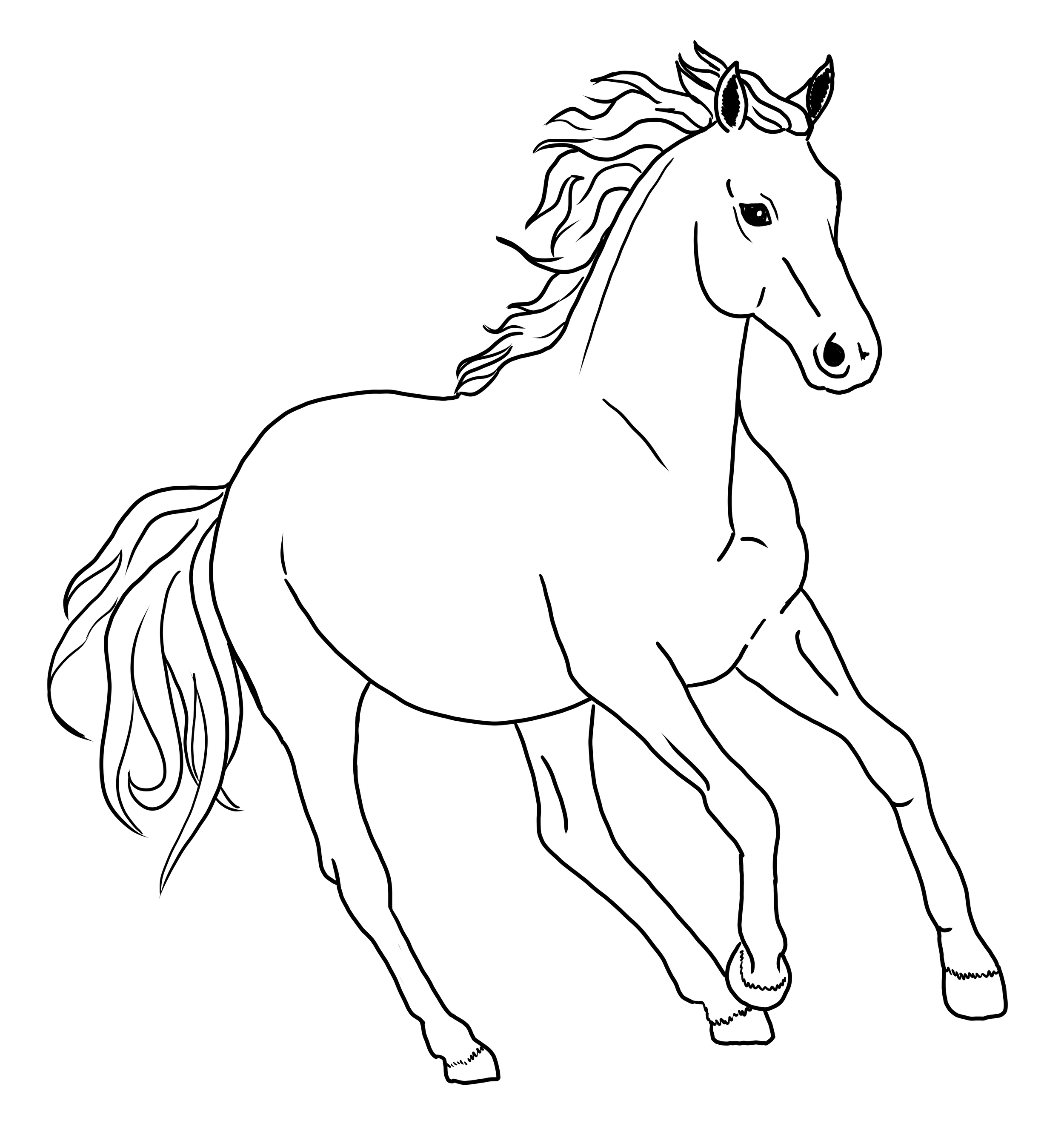 The Colours Workbook