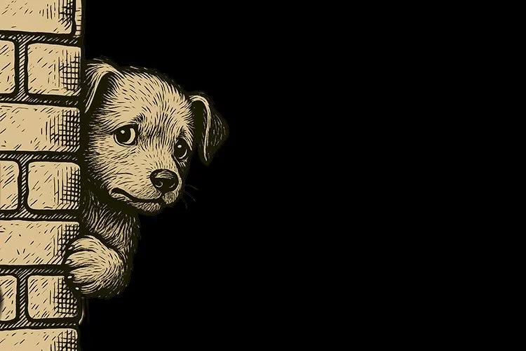 puppy-socialisation-critical-window.jpg