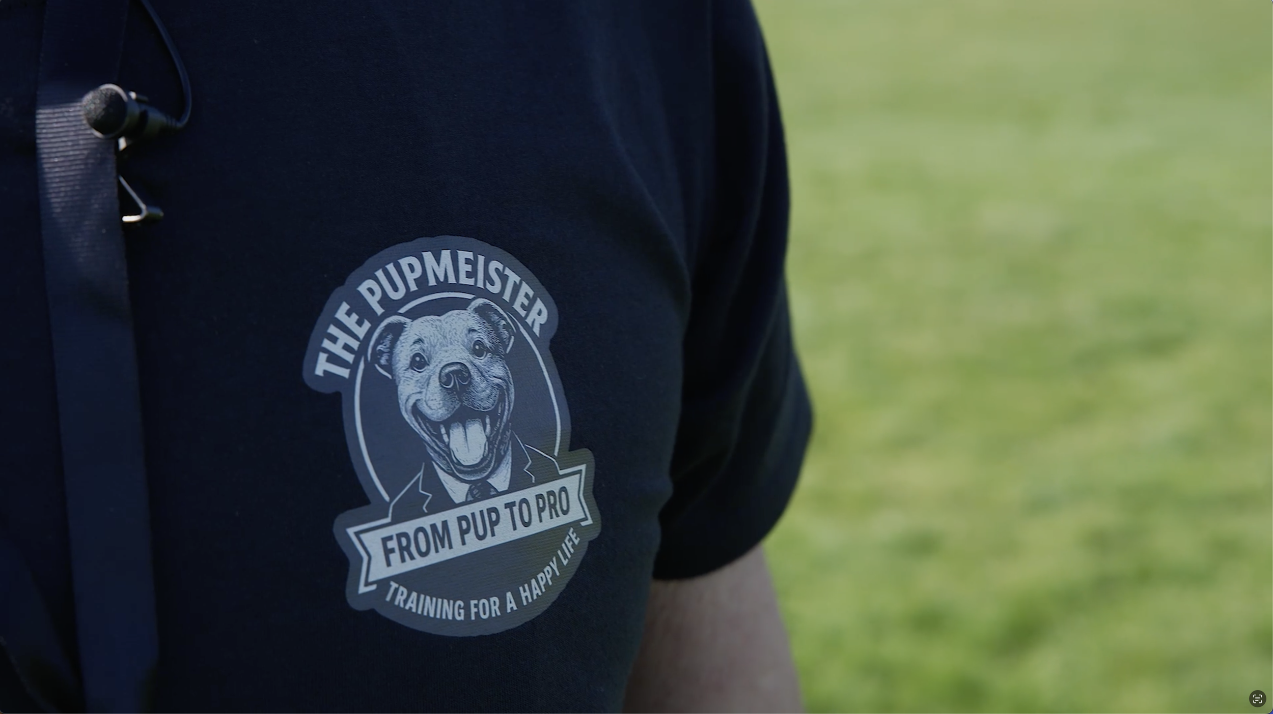 pupmeister-dog-and-puppy-trainer.png