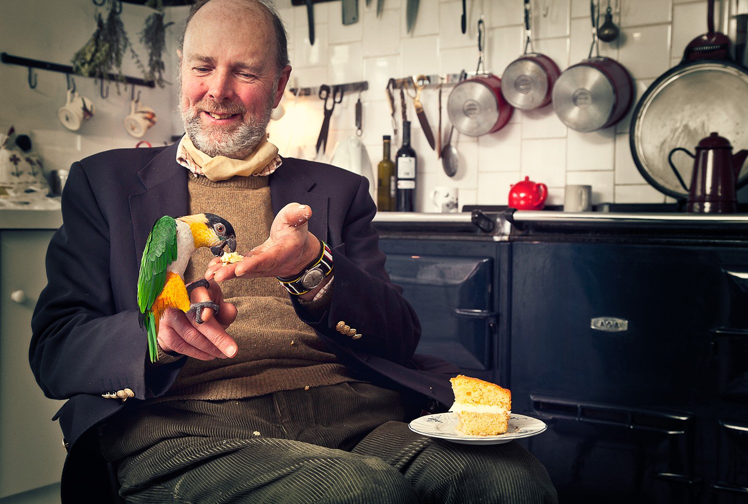 A man with a beard and gray hair sitting in a kitchen, feeding a colorful parrot with a piece of cake from his hand, with a slice of cake on a plate on his lap.