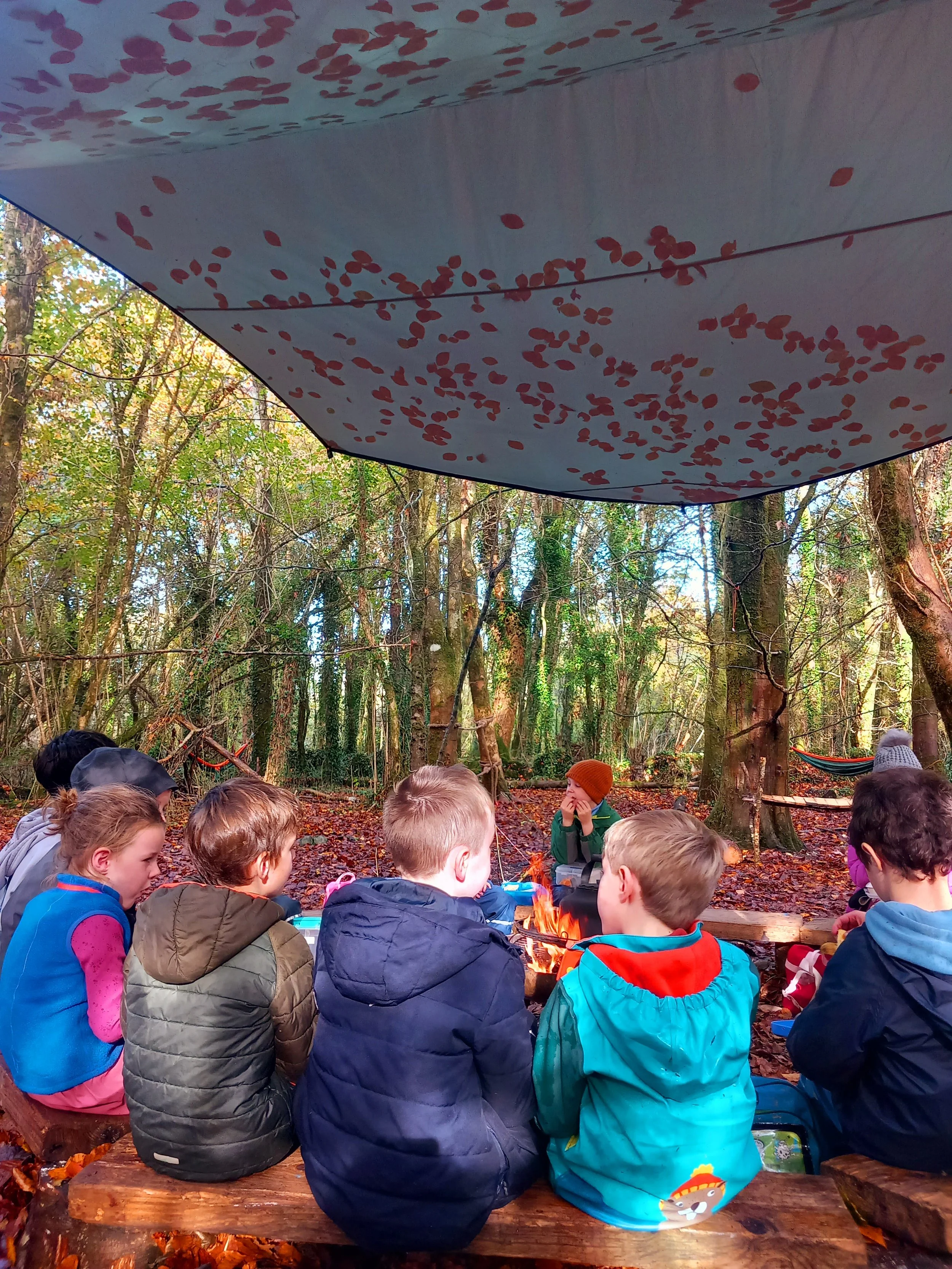 Halloween Forest School Camp | 27th-30th Oct (AM or PM) | Ennis | Samhain 2026