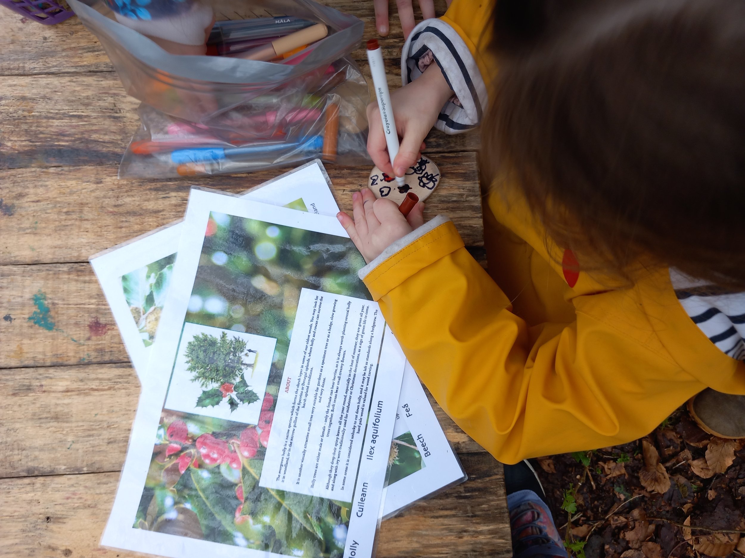 Friendly Fox After-School Starts Tuesday 1st of September