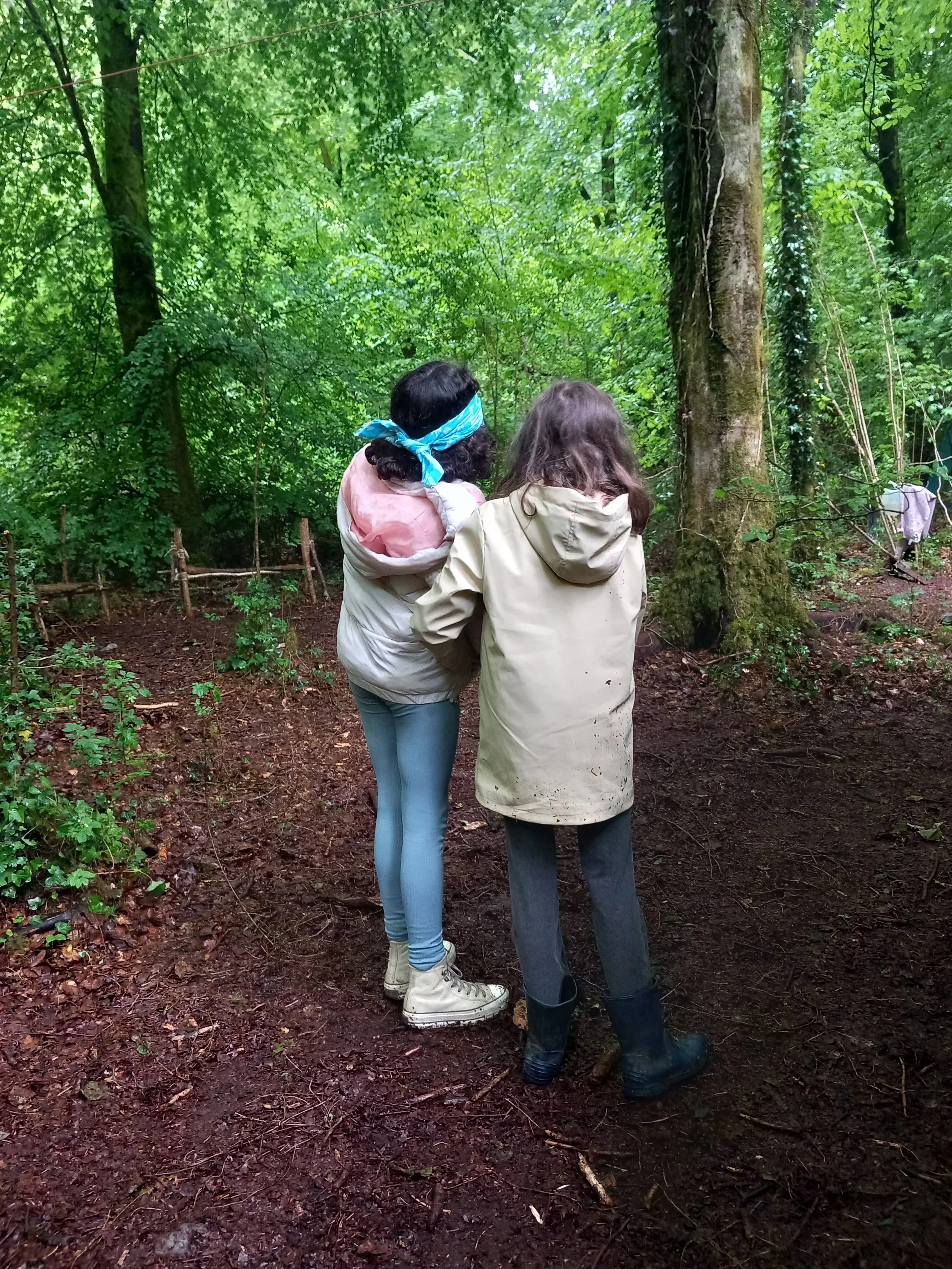 Young Climate Stewards | Free Forest School Session for Ages 11–14 | Saturday 7th Nov