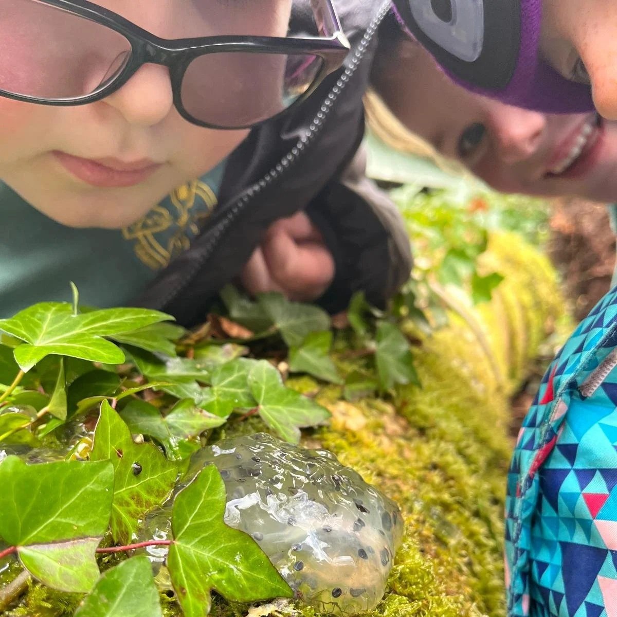 IMG-20260312-WA0003.jpg (Copy)