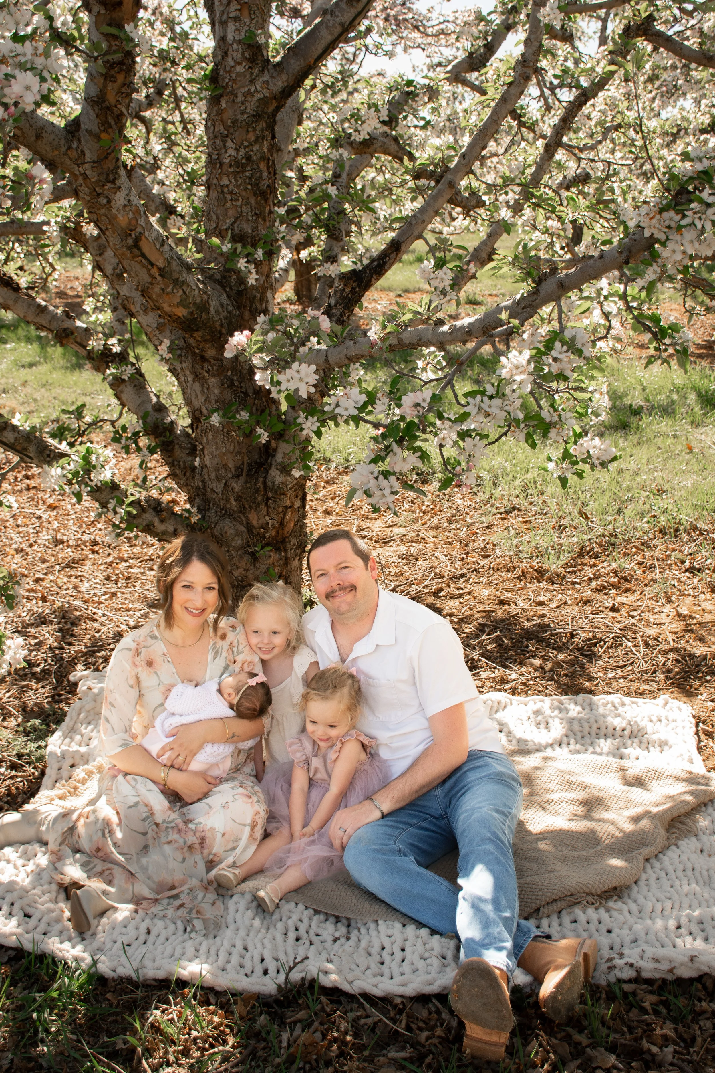 Apple Blossom Mini Sessions