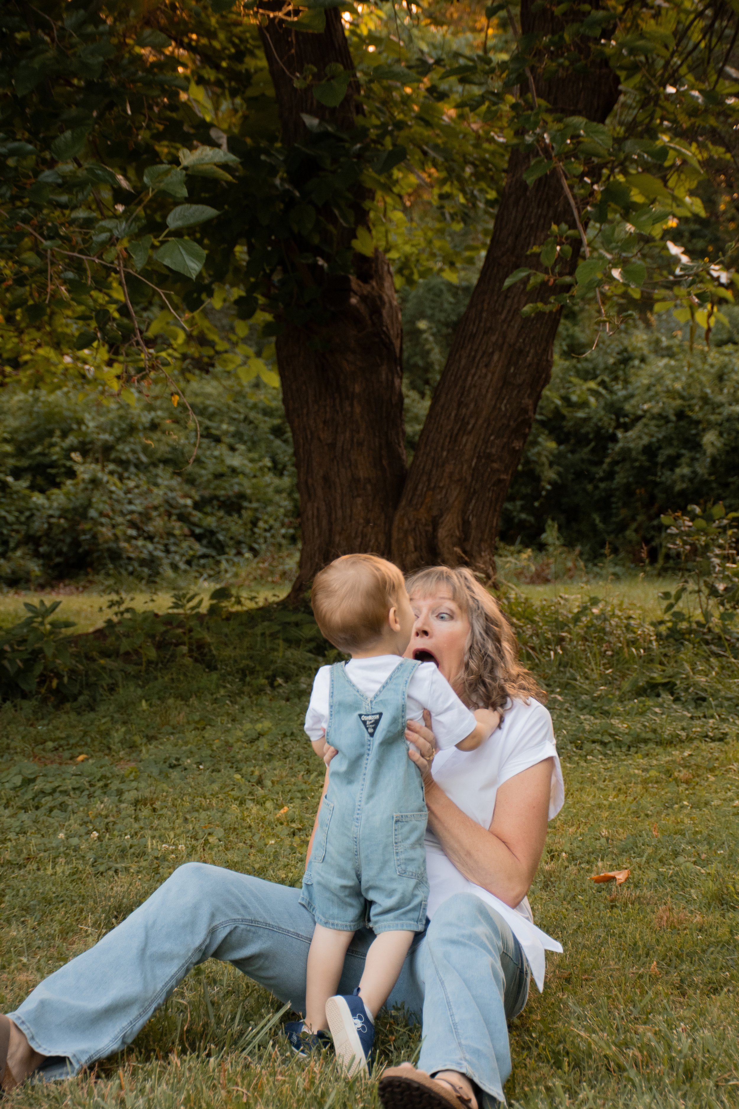  A woman sitting on the grass with a toddler beneath a large tree