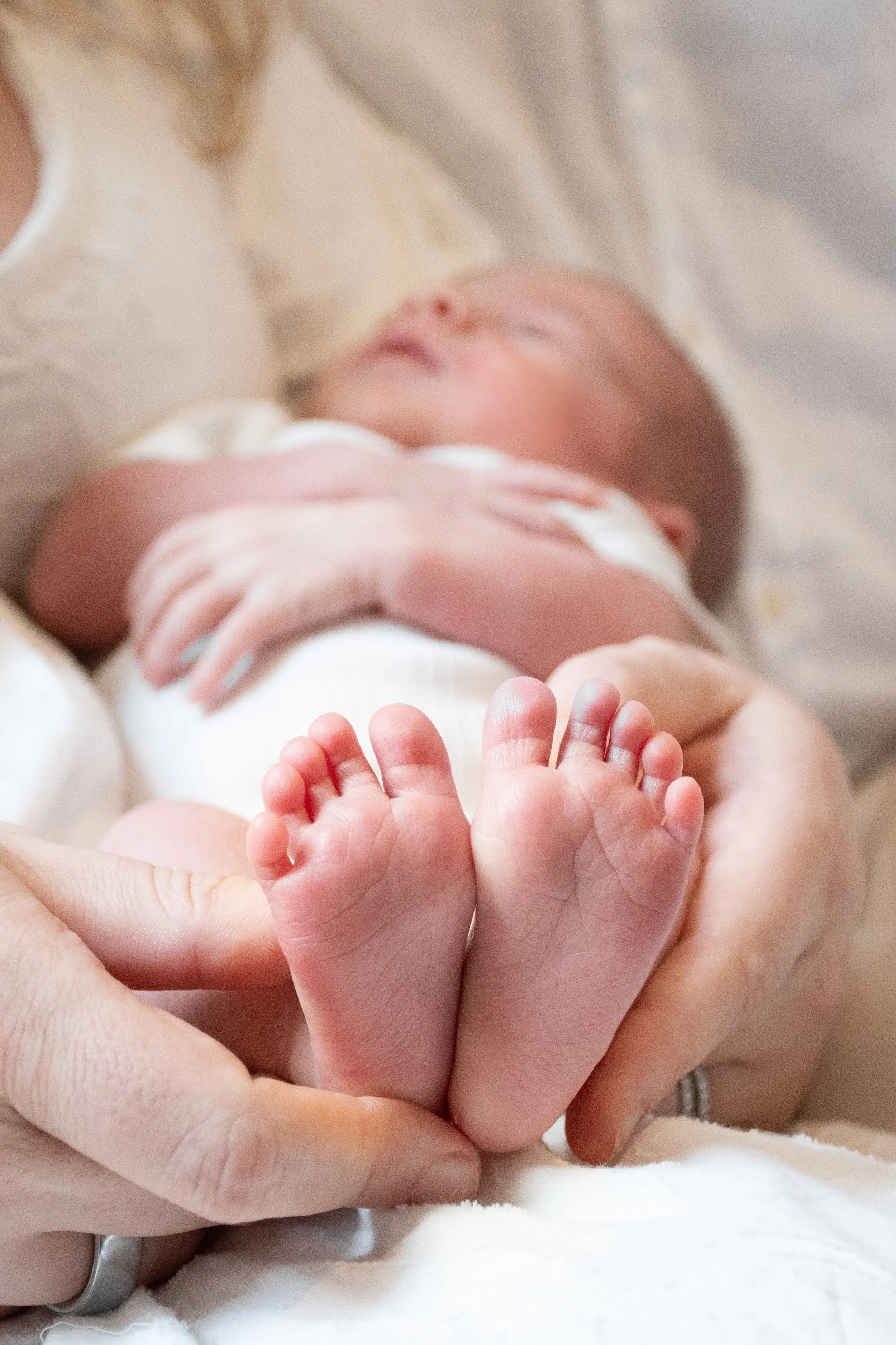 A close-up of a sleeping newborn's feet held in an adult's hands