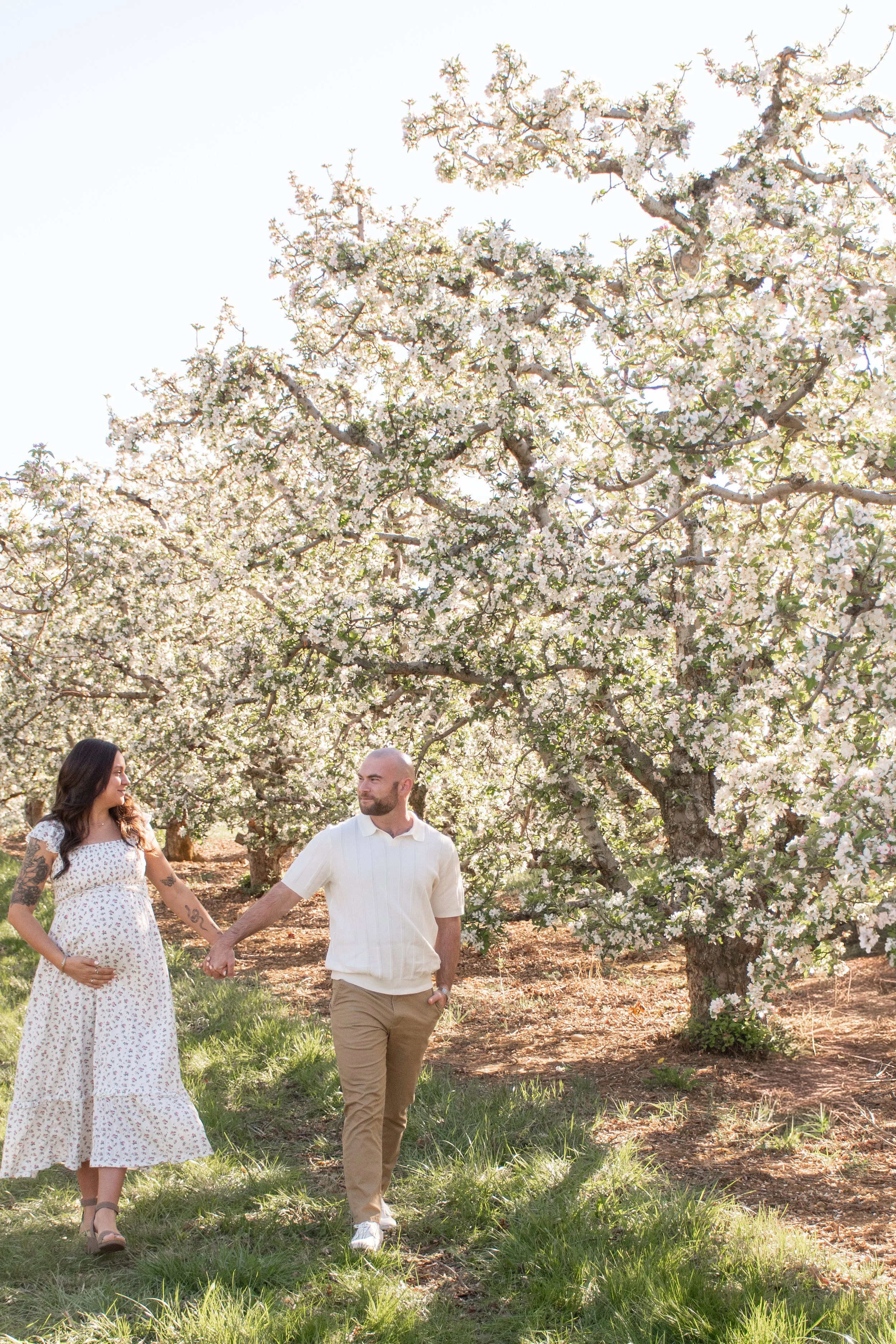 KDM_Apple_Blossom_Ferrante-07.jpg