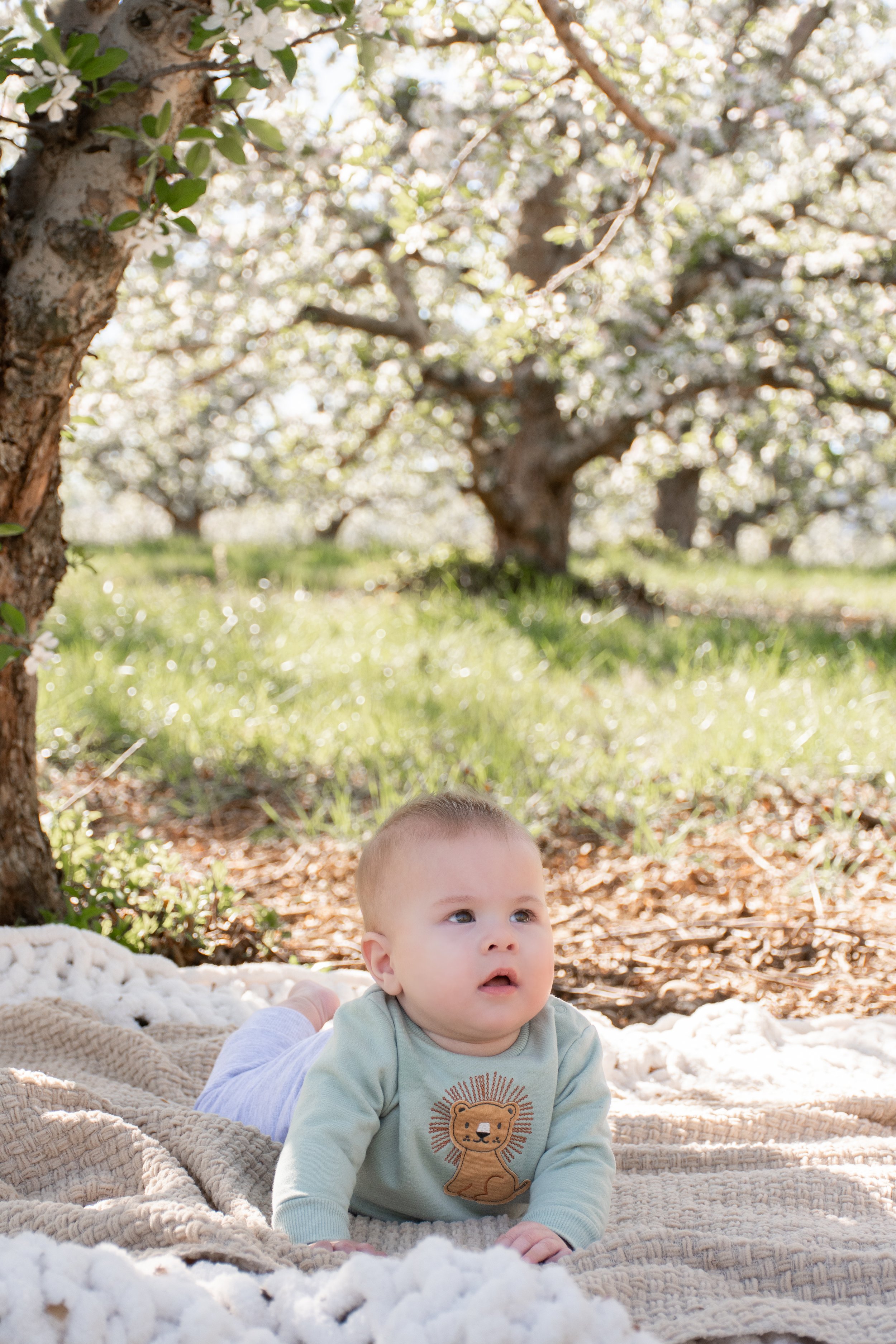 KDM_Apple_Blossom_DaSilva-16.jpg