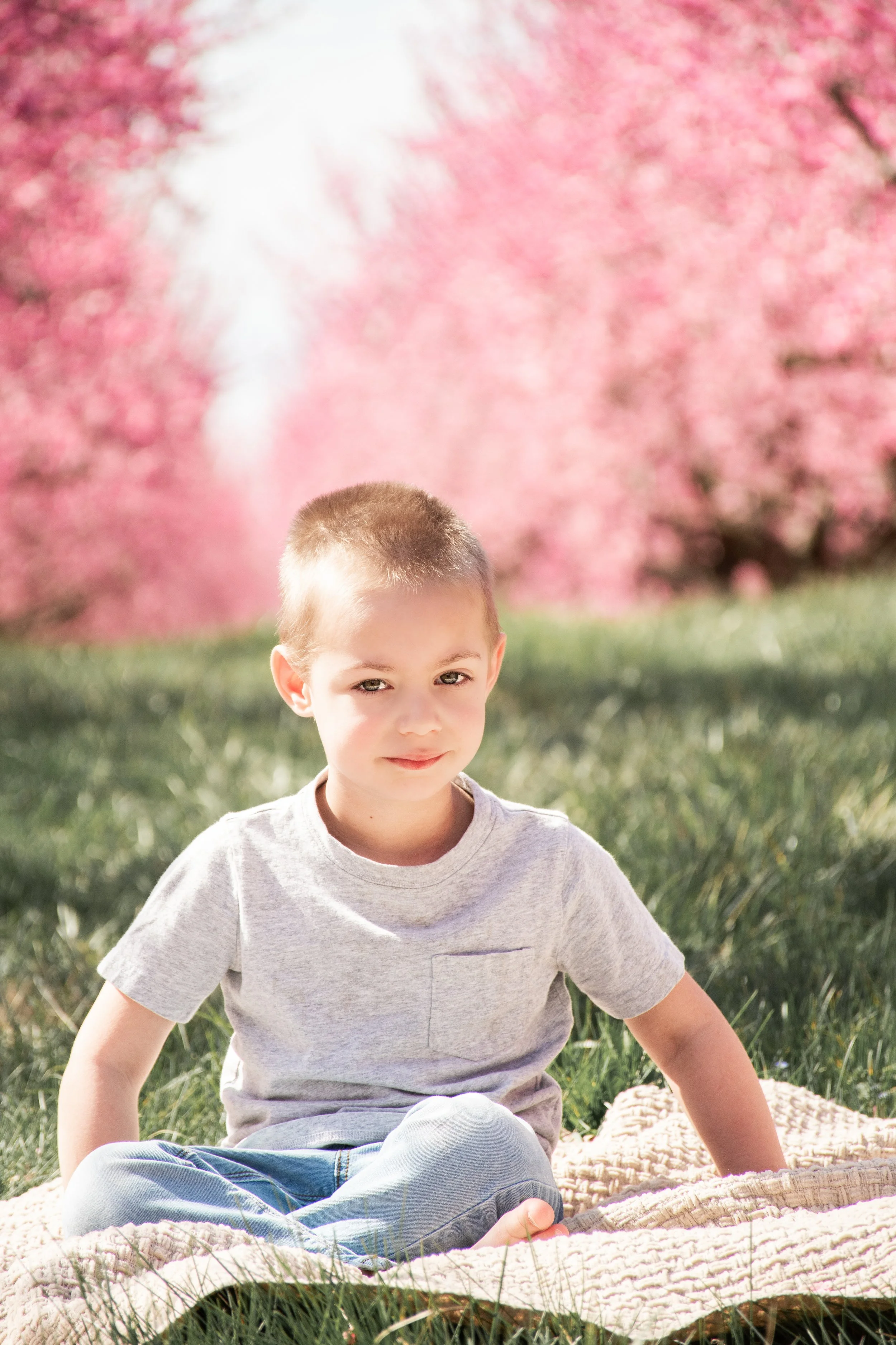 KDM_MacCauleyCherryBlossoms-03.jpg