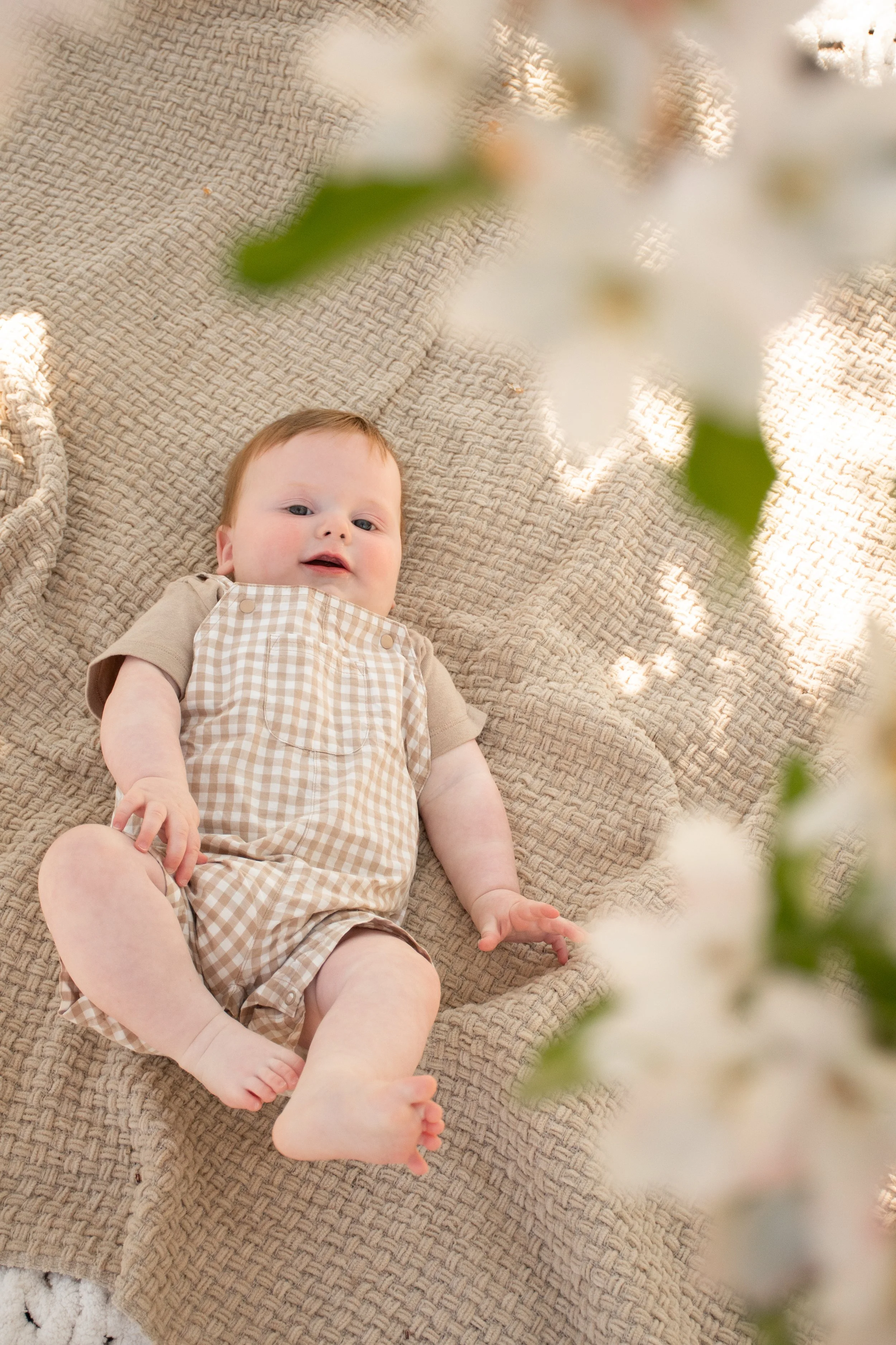KDM_Apple_Blossom_Gilsons-10.jpg