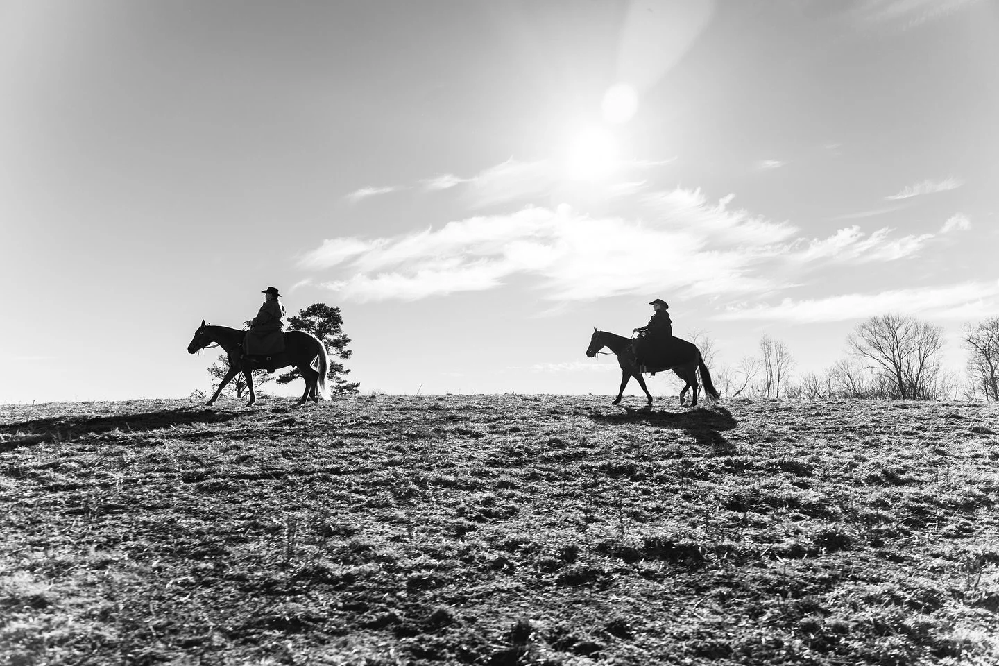 Sixteen Peaks Cattle Co.
#LouisvilleTN