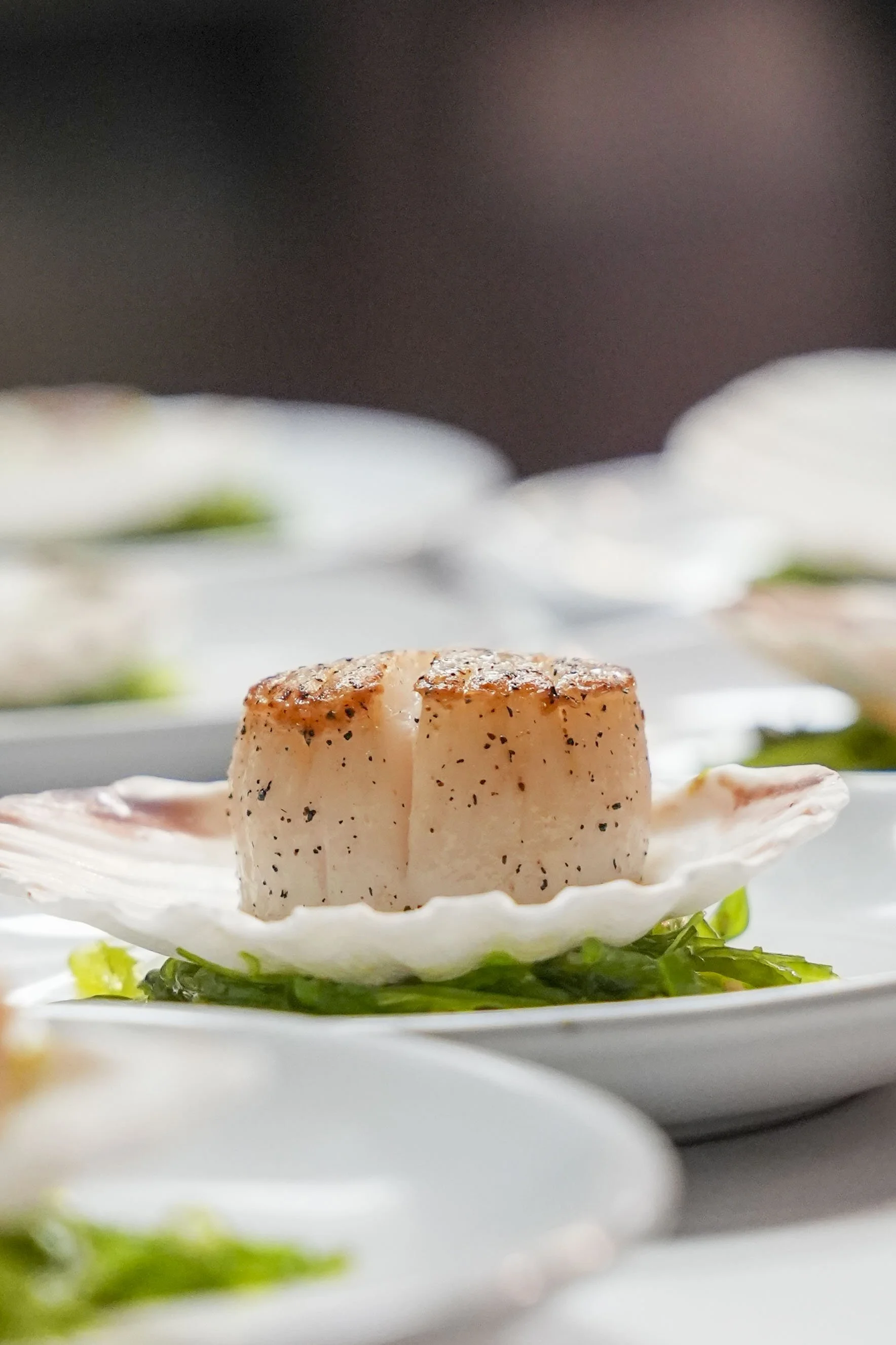 FV_Wine Dinner__26.jpg