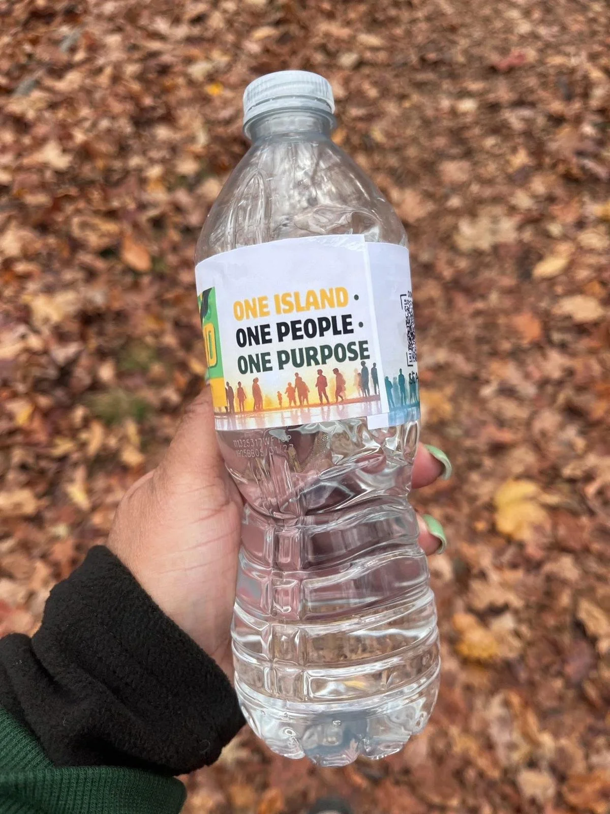 WhatsApp Image 2026-03-03 at 11.19.06 PM (1).jpeg