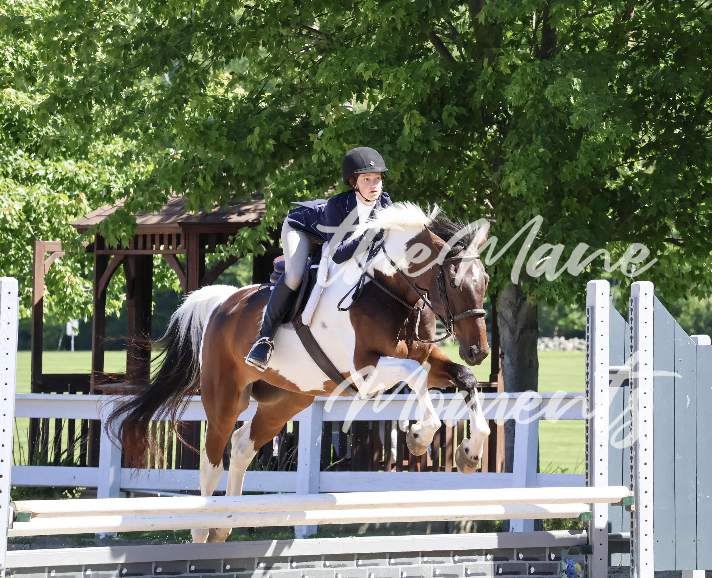 IMG_1307.jpeg