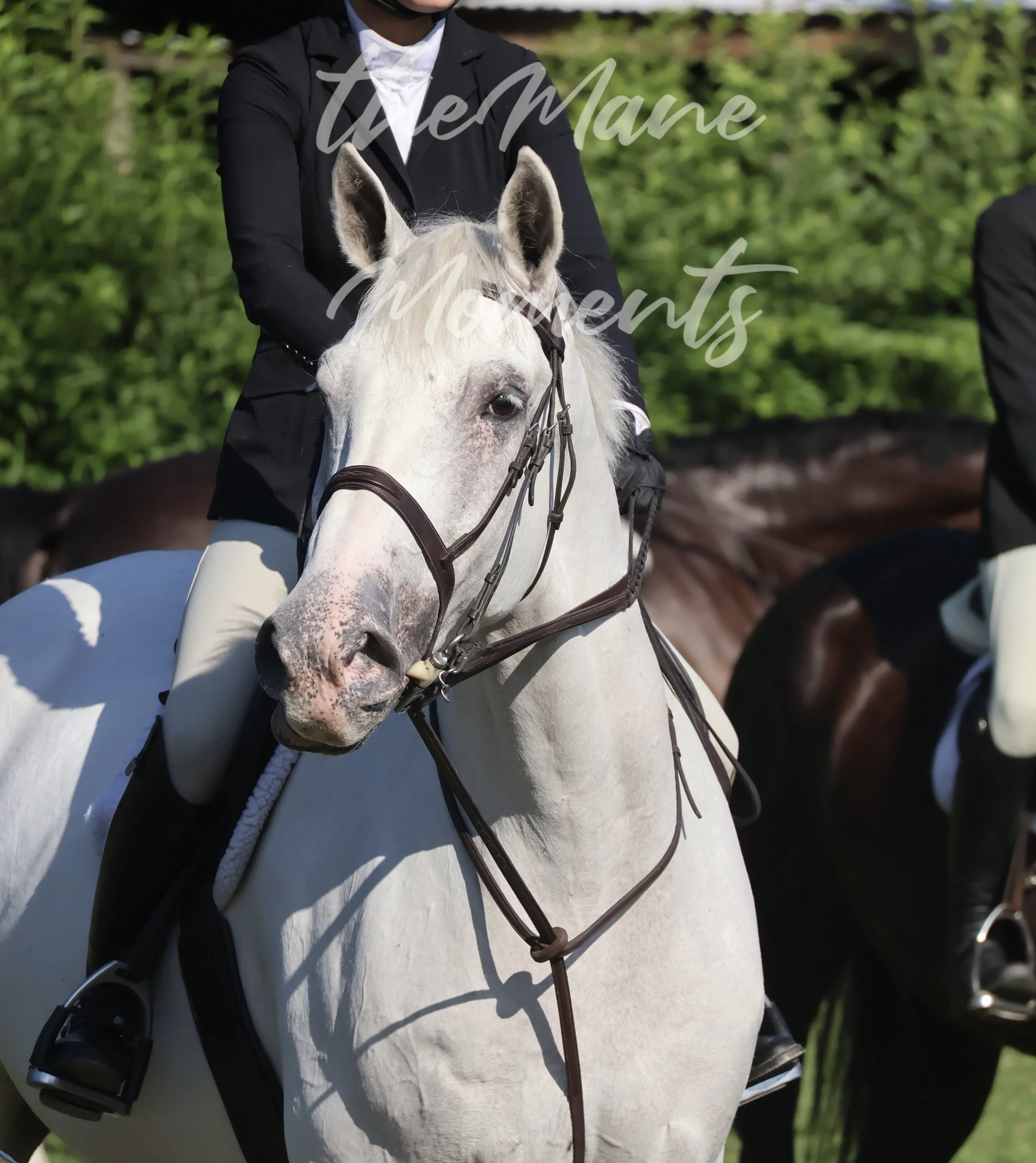 Zephyr 7/9/26