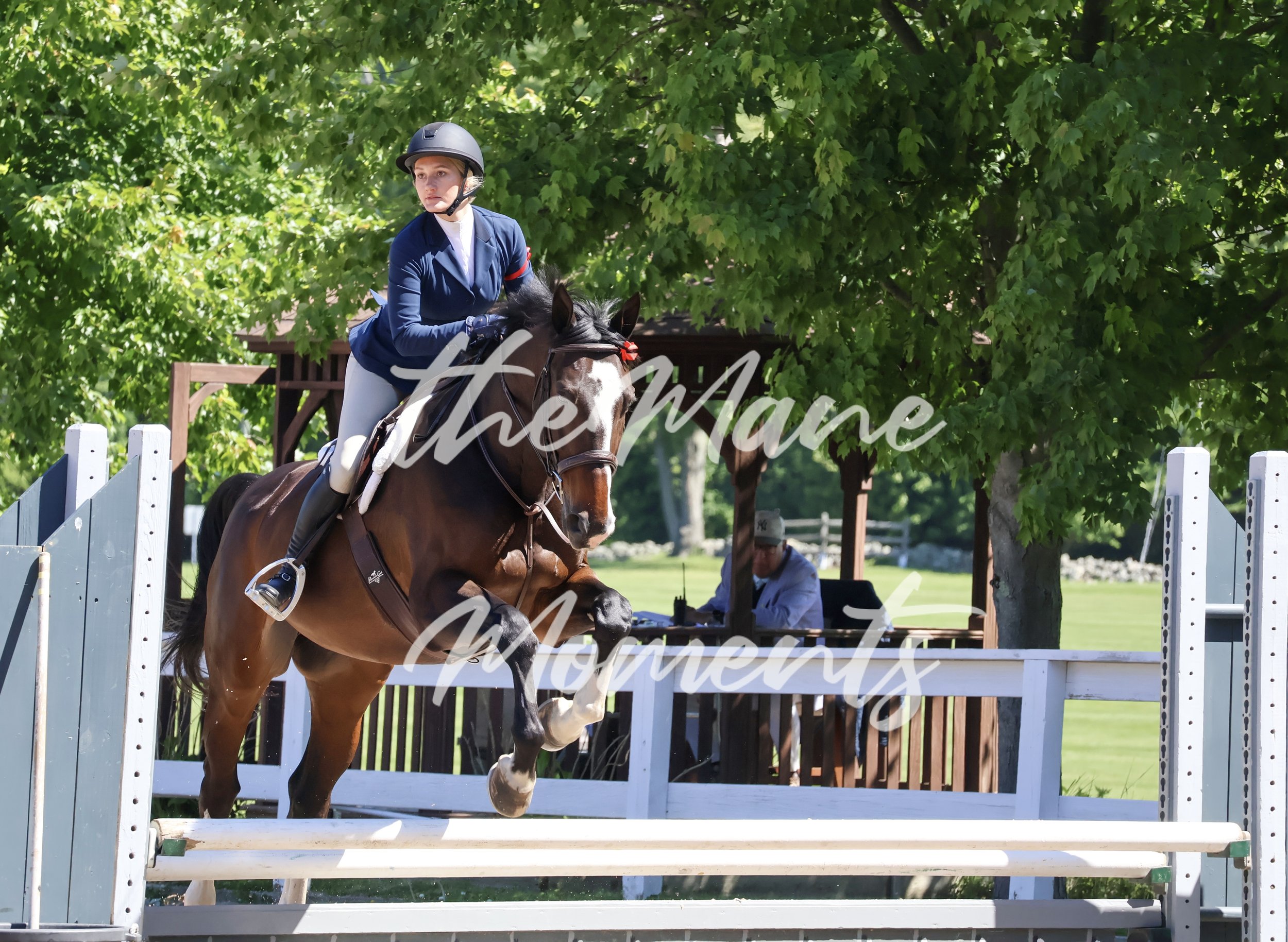 IMG_1305.jpeg
