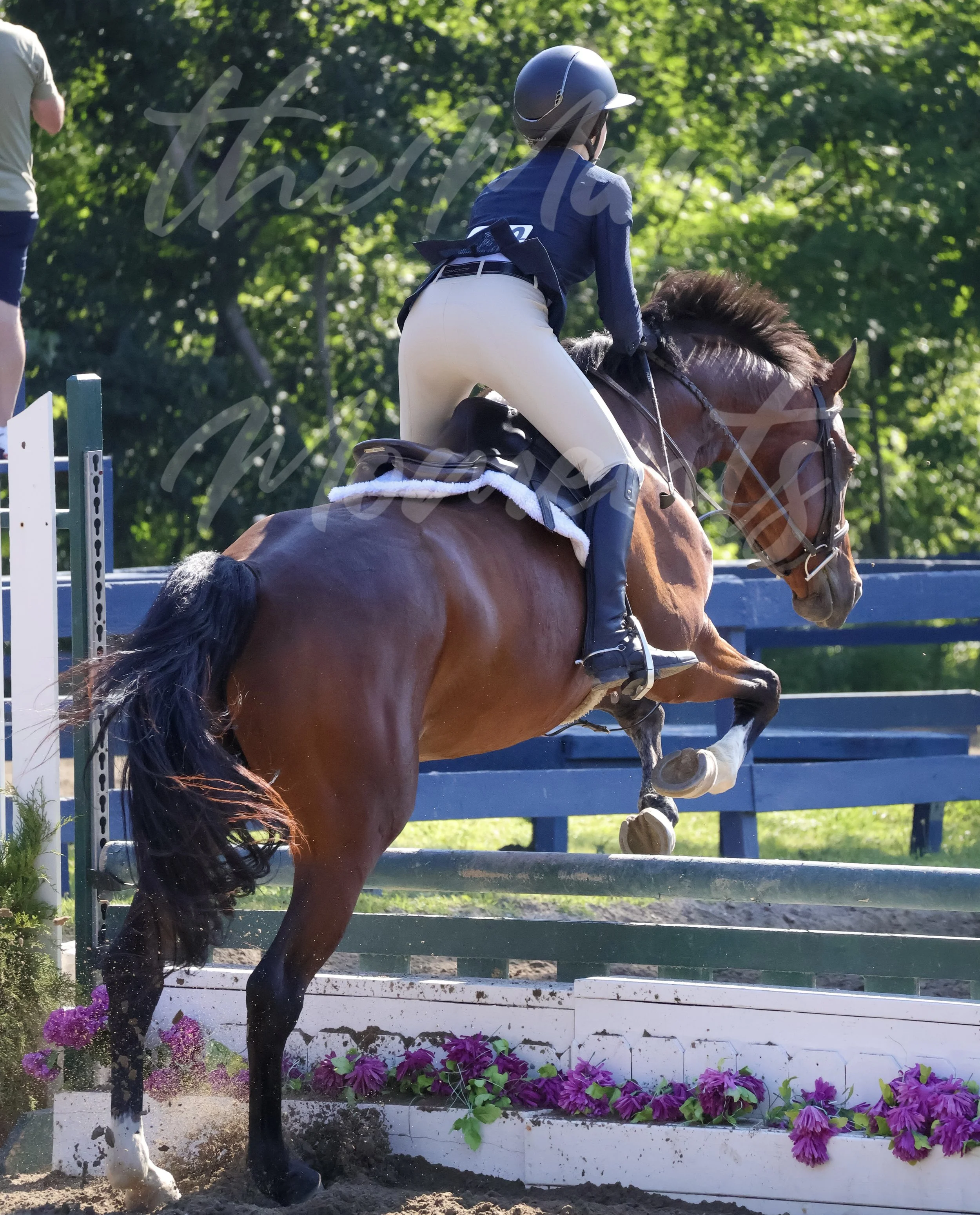 IMG_1359.jpeg
