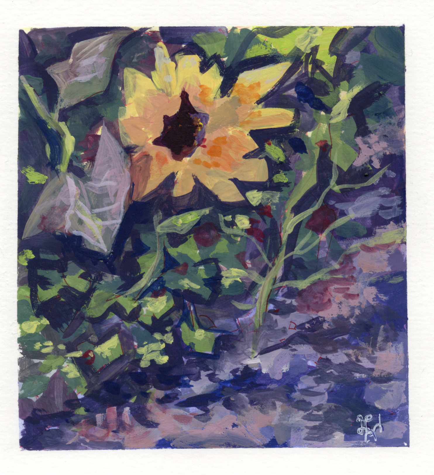 Boylegardenpng.png
