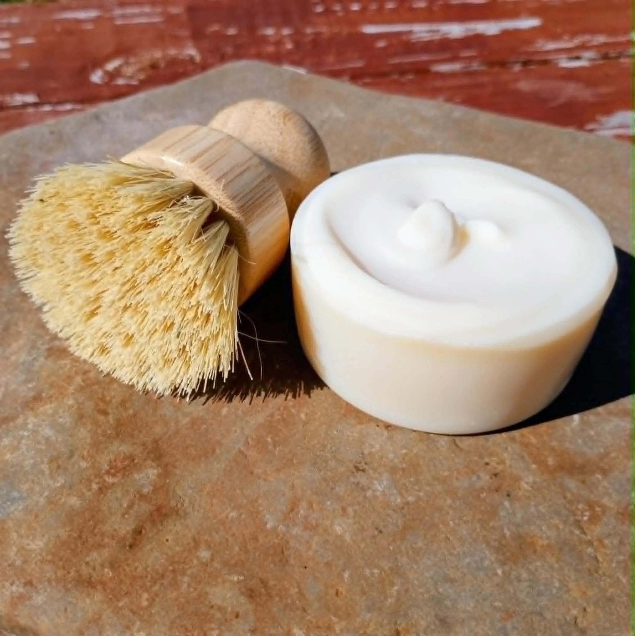 Frost Valley Naturals Brush and Dish Soap.jpg