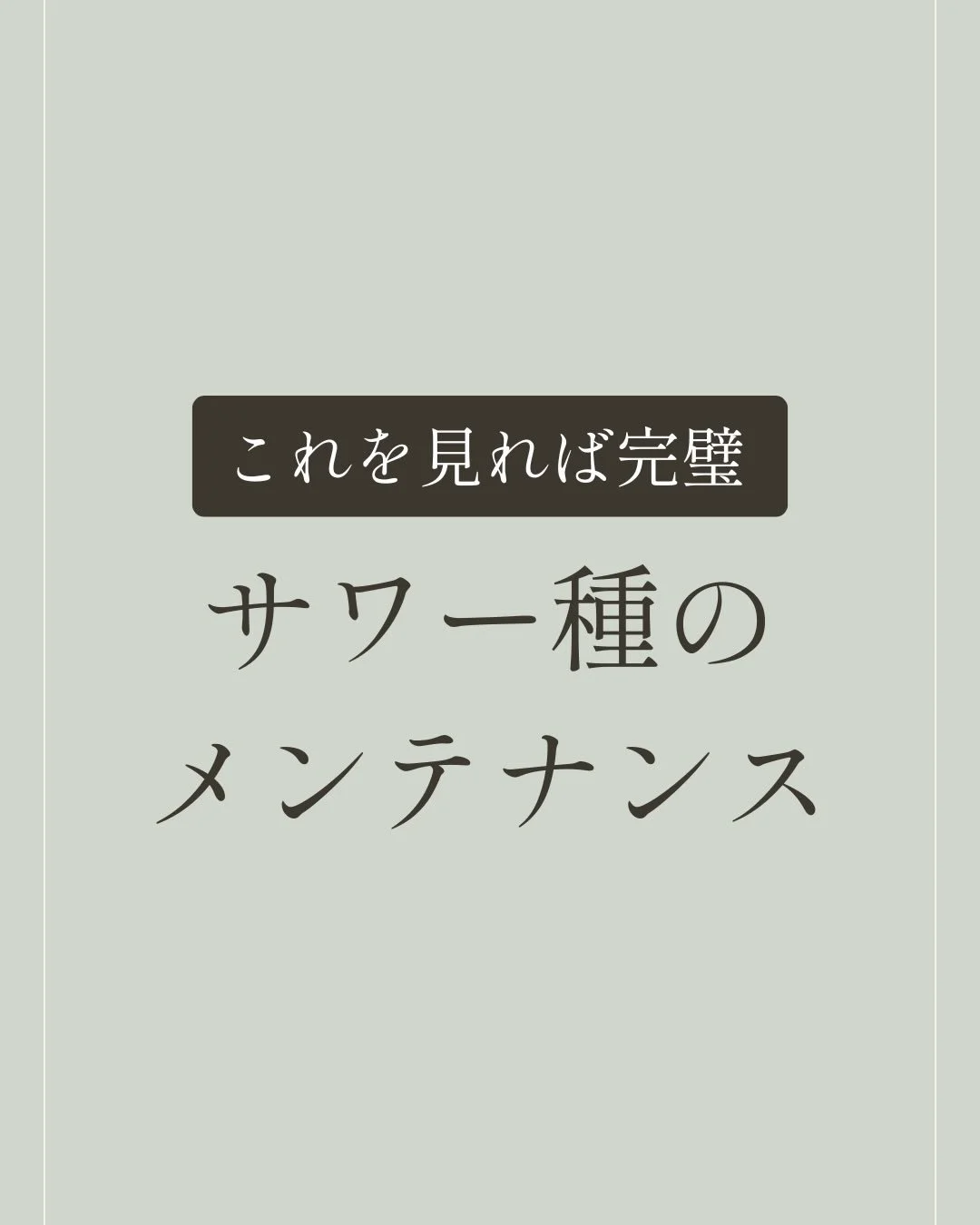 ◀︎これを見たら完璧！

サワー種の
メンテナンス方法を
ご紹介。

サワー種の
メンテナンスについて

こんなお悩みは
ありませんか？

サワー種を
起こしてみたが

メンテナンスの
仕方がわからない&hellip;

いろんなレシピをみると

種継ぎの仕方、
メンテナンスの仕方が違って、

何が正しいのか
わからなくなってしまった。

そんな方は
ぜひこの投稿が少しでも

ご参考になったら
嬉しいです。

サワー種の
メンテナンスについて

私の経験をもとに
ポイントを
お伝えしています。

