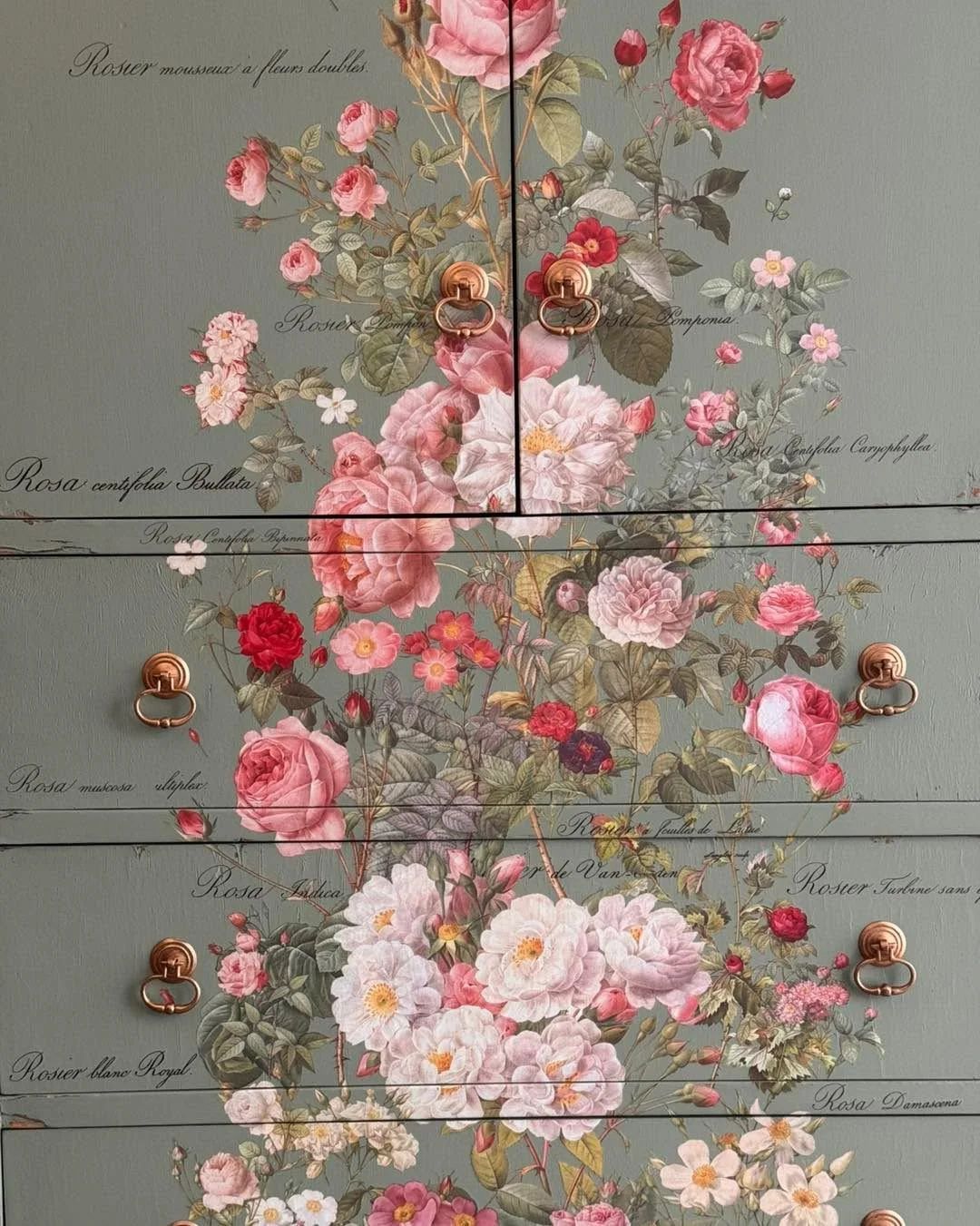 WhatsApp Image 2025-09-20 at 19.44.18 (4).jpeg