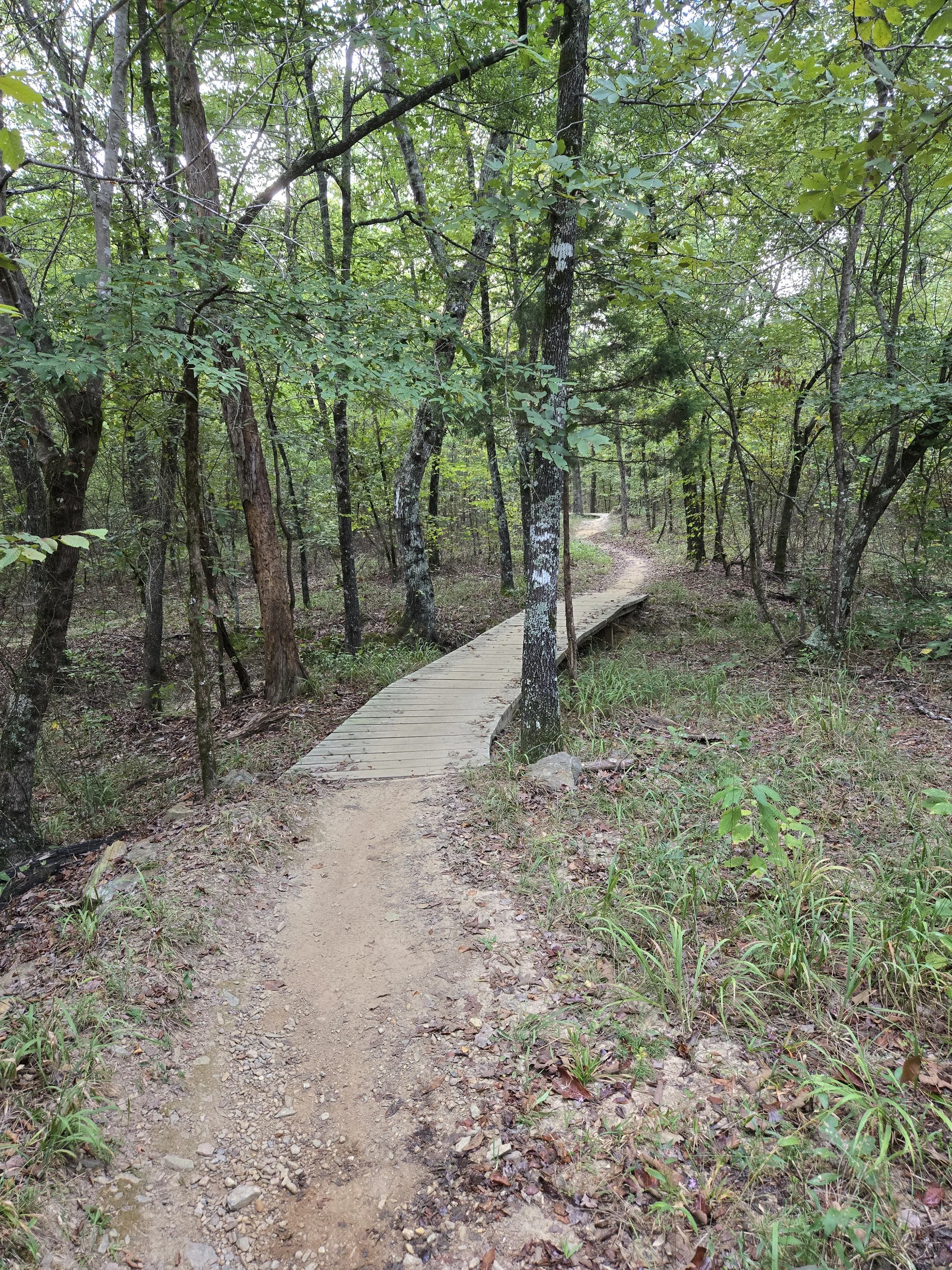20250920_073942.jpg