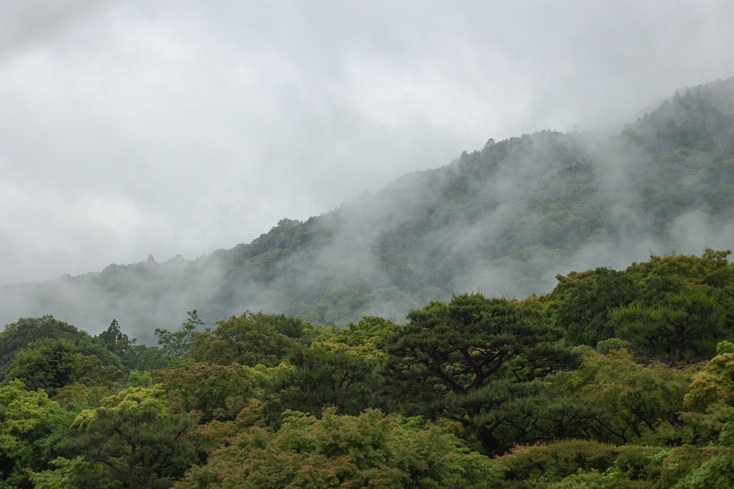 The Three Mountains
