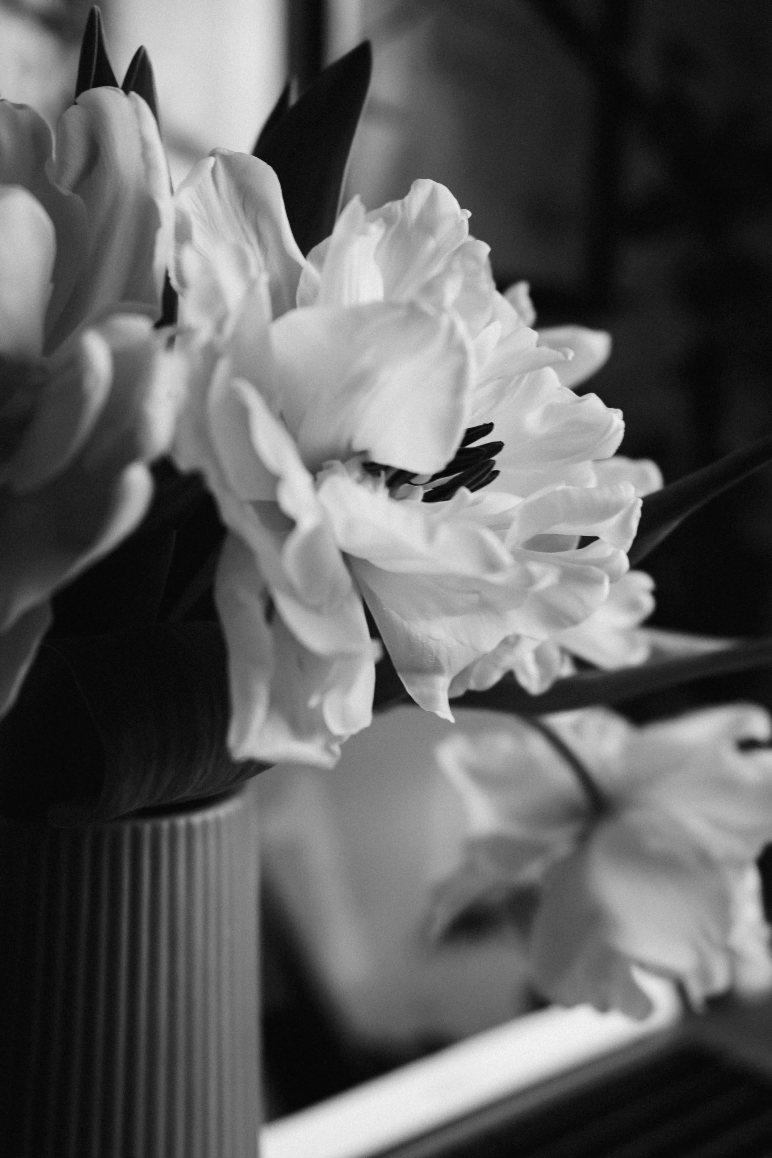 Why you cannot heal in an environment that has hurt you