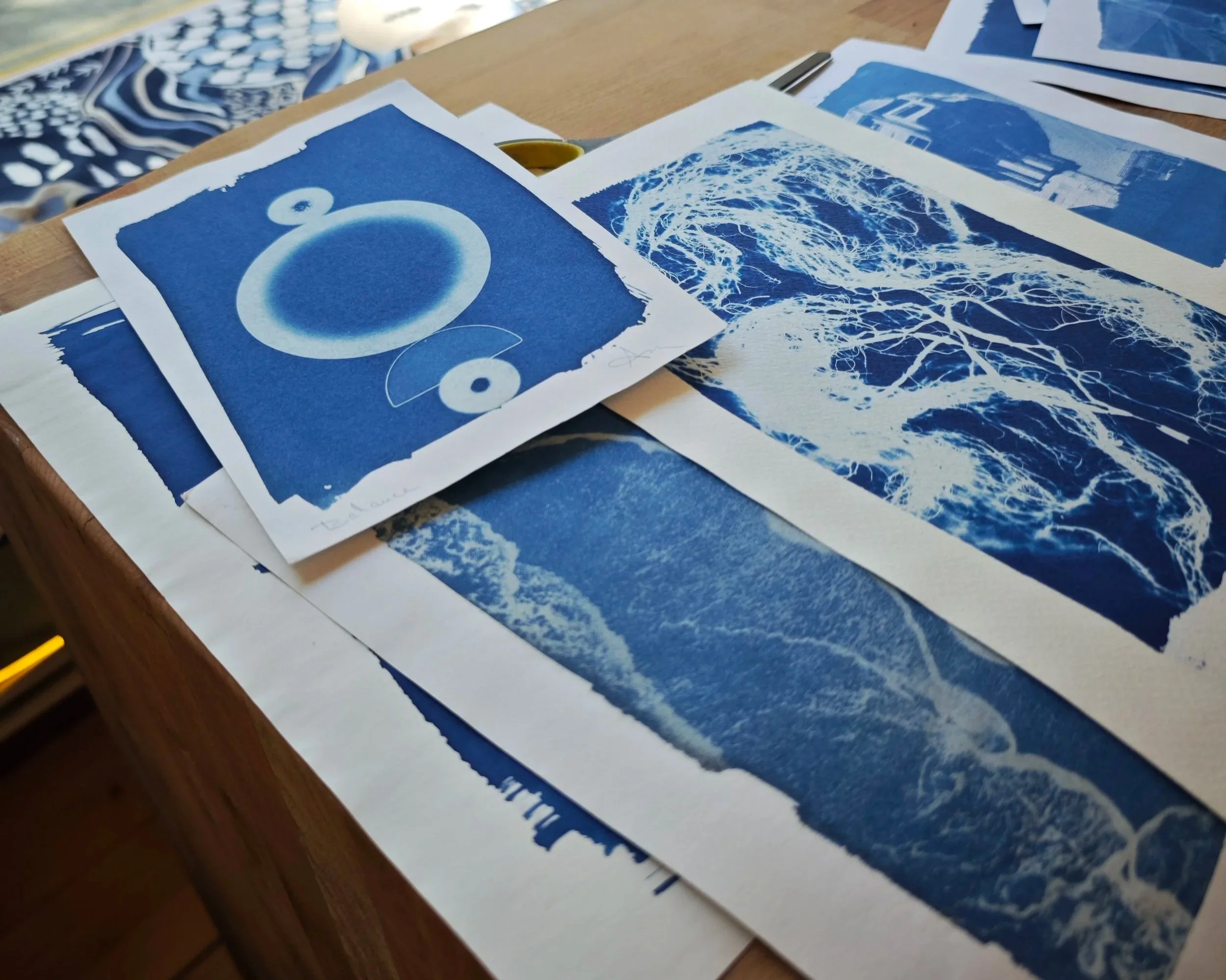 Cyanotype Printing — Science Meets Art