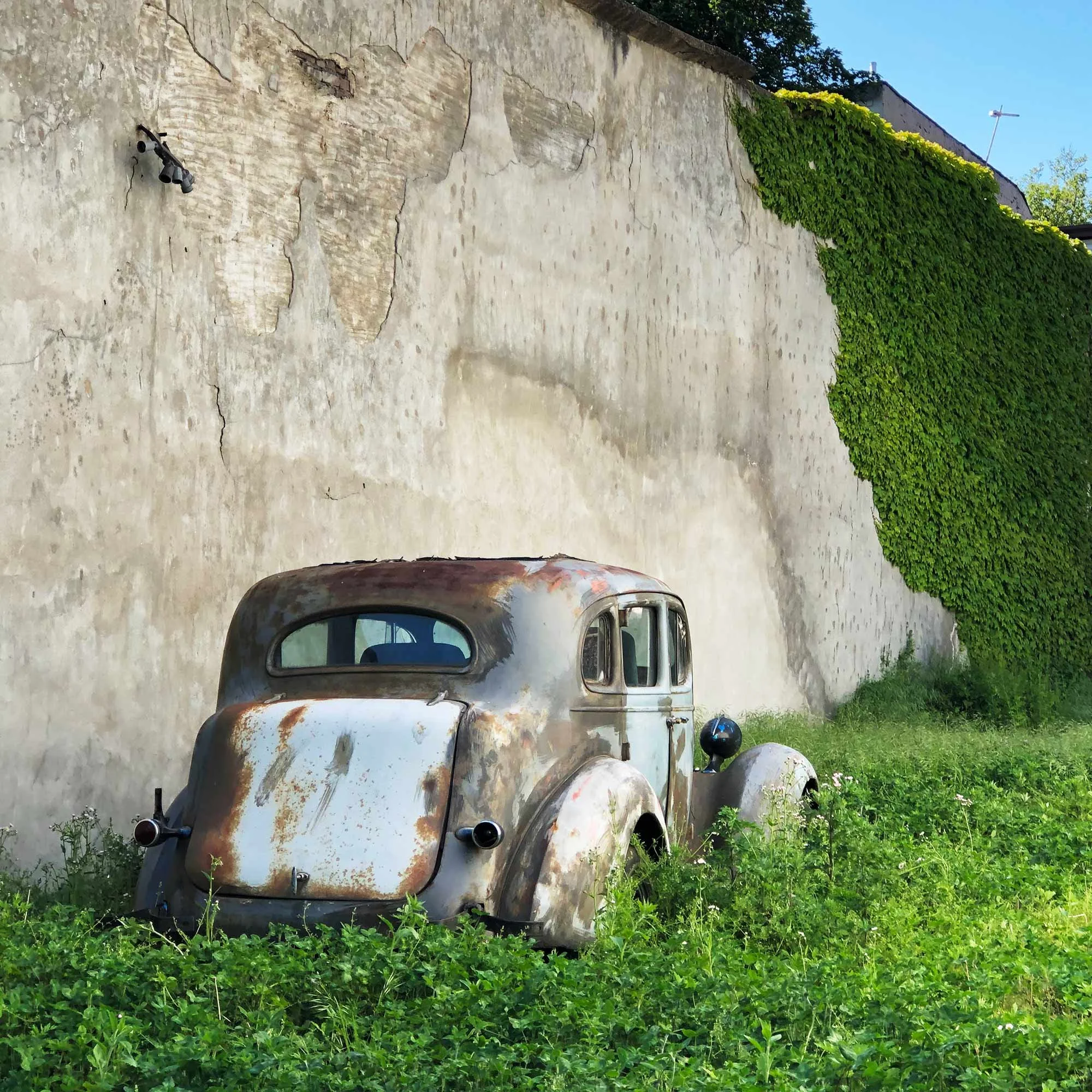 Rosie-McCobb-Model-T-Abandoned-Covid.jpg