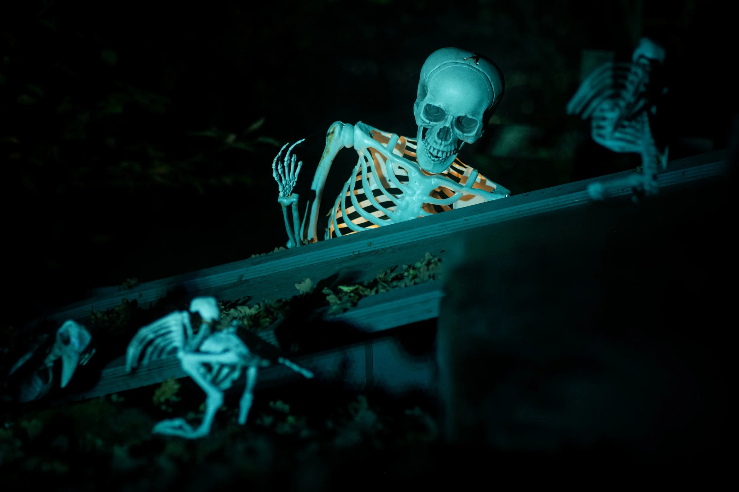 A glowing skeleton decoration with a small plastic lizard on the skull, positioned on a dark outdoor surface at night.