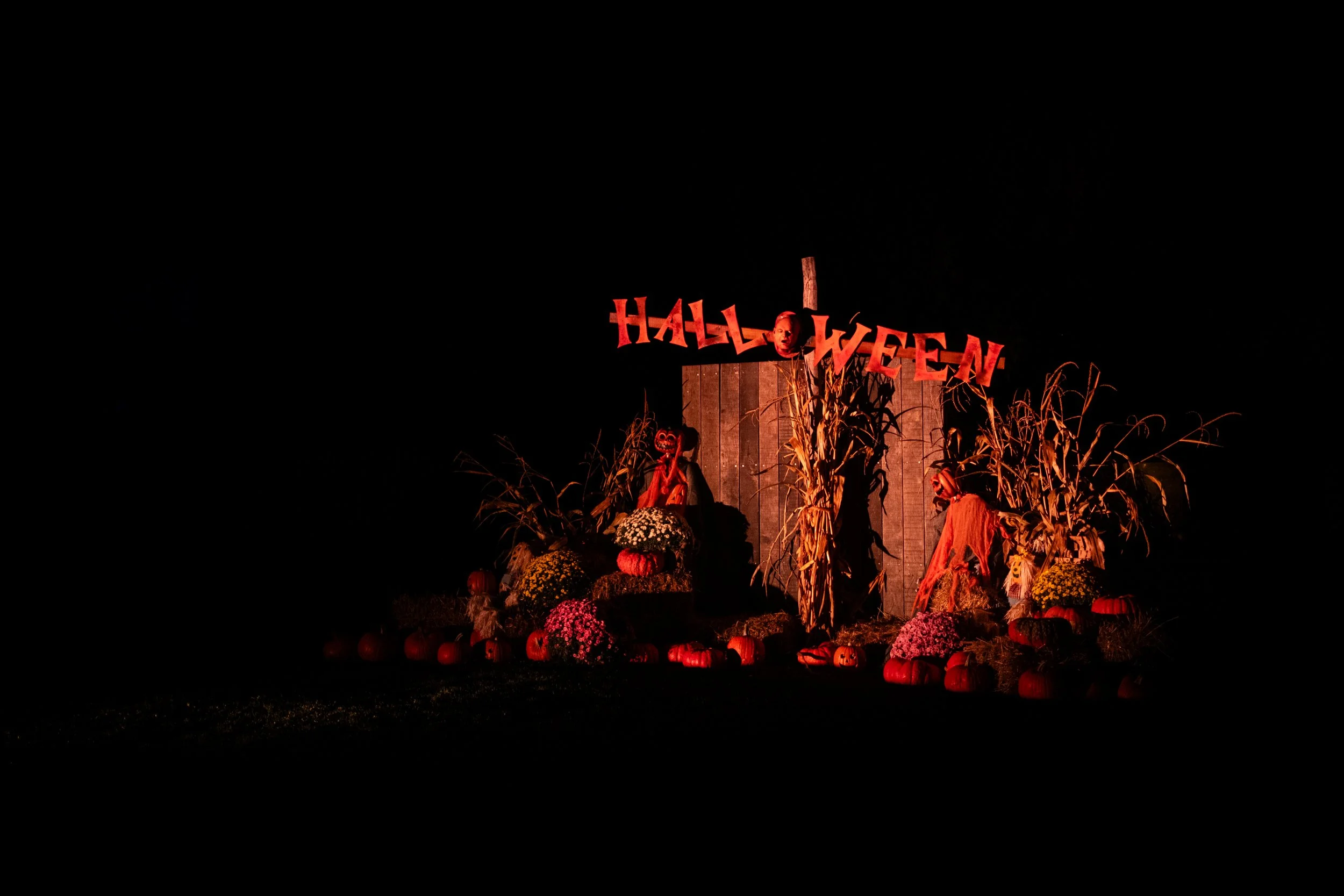 A Halloween-themed outdoor display at night featuring a wooden sign spelling 'Halloween' with a face and pumpkin decorations, surrounded by cornstalks, pumpkins, and flowers.