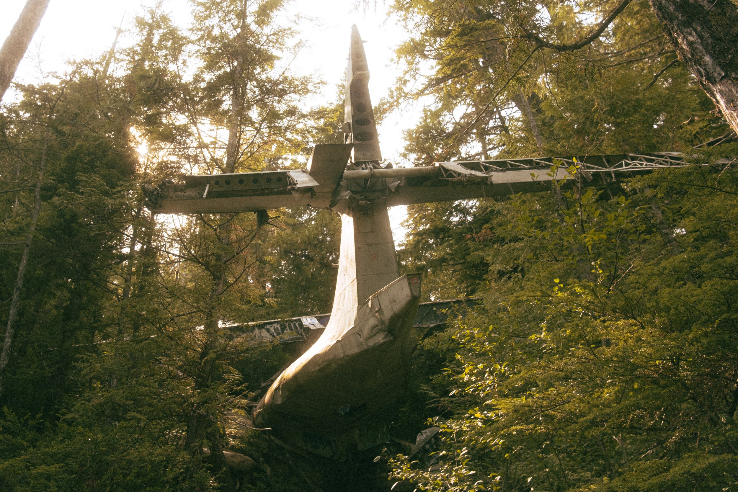Downed utility pole in a forest, with broken power lines and a snapped pole leaning on fallen trees, sunlight filtering through the trees.