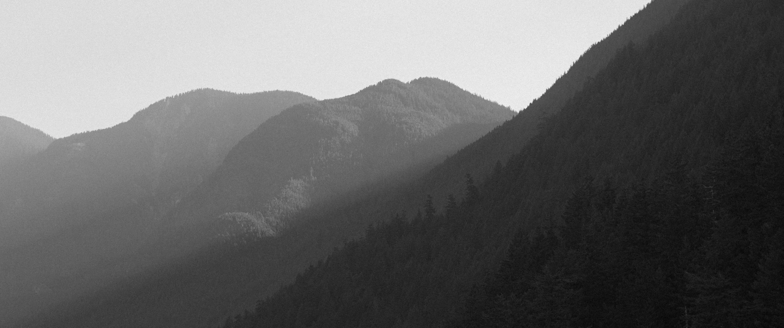 Black and white photograph of layered mountain ranges covered with trees, fading into the distance.