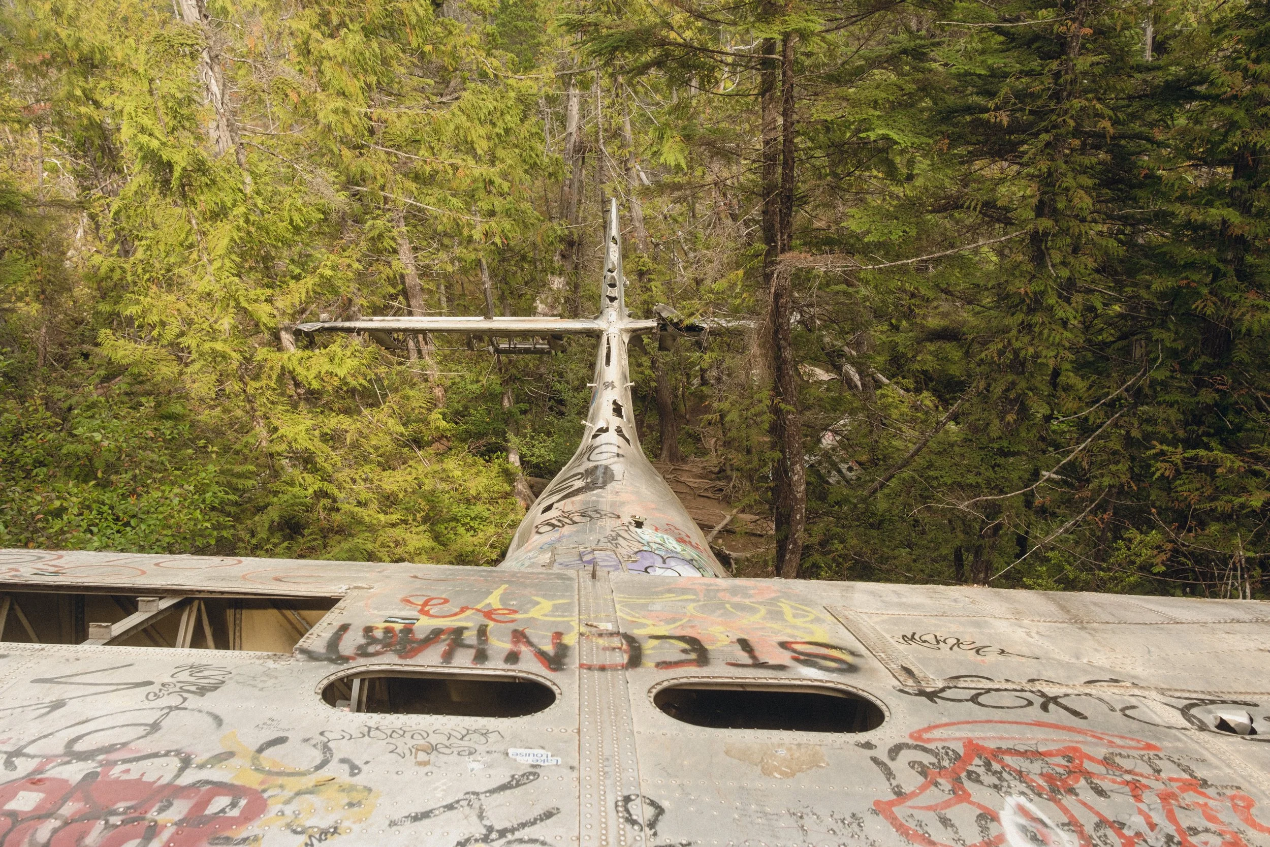 Looking from the top of an old, graffiti-covered metal structure, with two circular openings, towards a forested area with tall trees.
