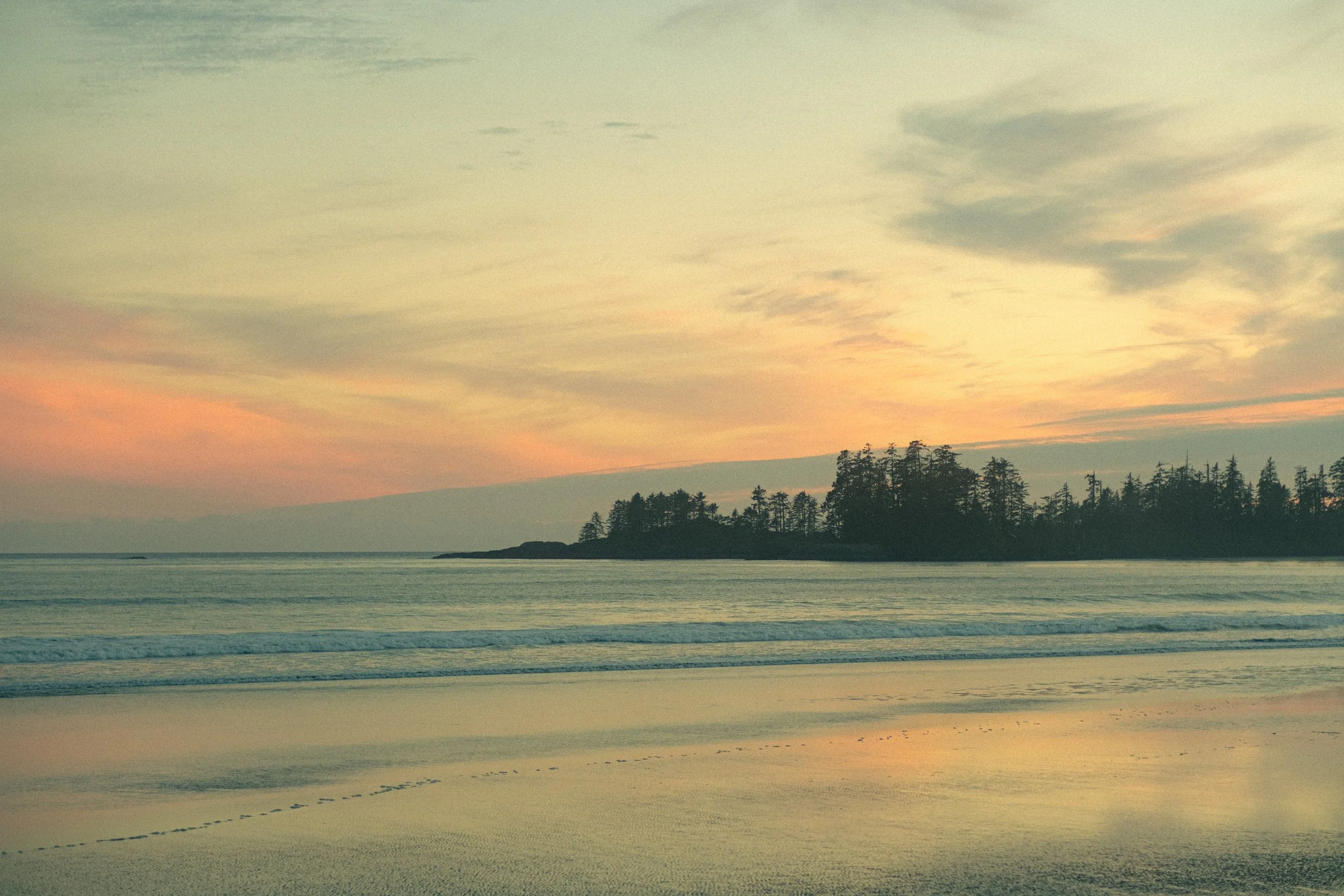 A serene beach scene at sunset with calm water, a tree-lined shoreline in the distance, and a pastel-colored sky with clouds.