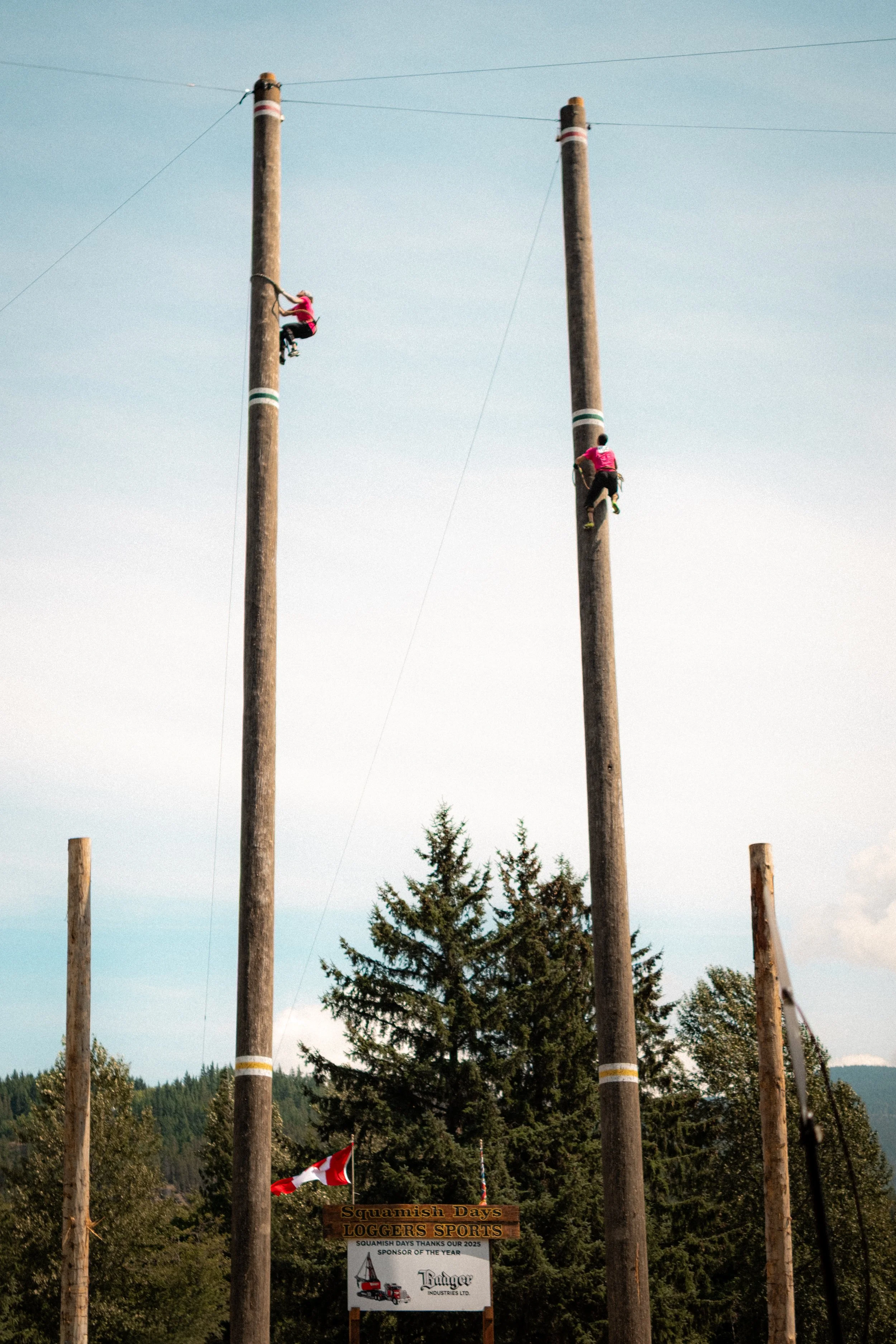 Three people climbing tall wooden telephone poles during an outdoor event, with trees and a blue sky in the background. A sign reads 'Squamish Days Loggers Sports' and features a logo with a log loader.
