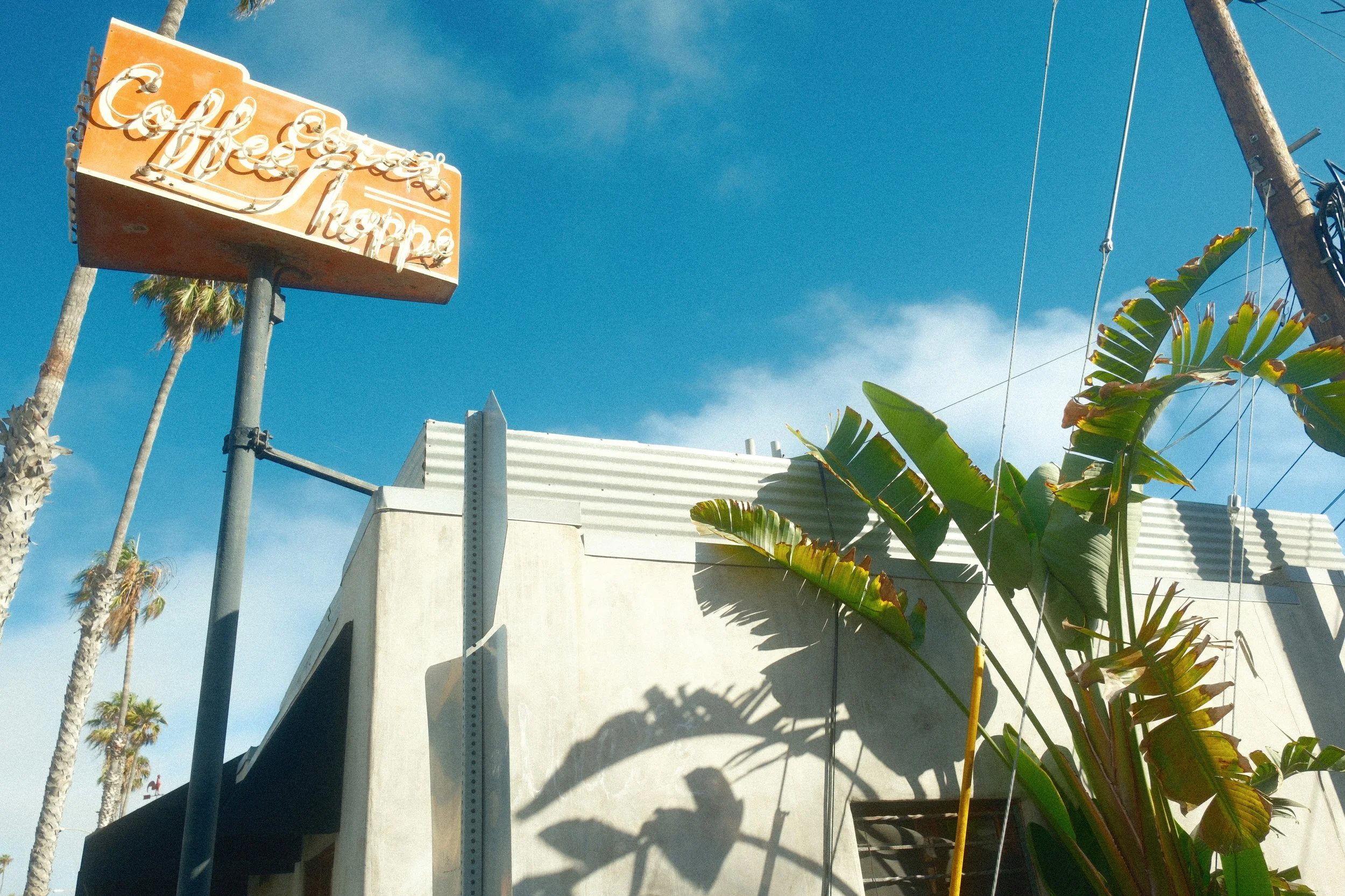 Outdoor scene with a vintage neon sign reading 'Café Cappuccino' against a clear blue sky. Palm trees and a building with a white wall and industrial elements are visible in the background.