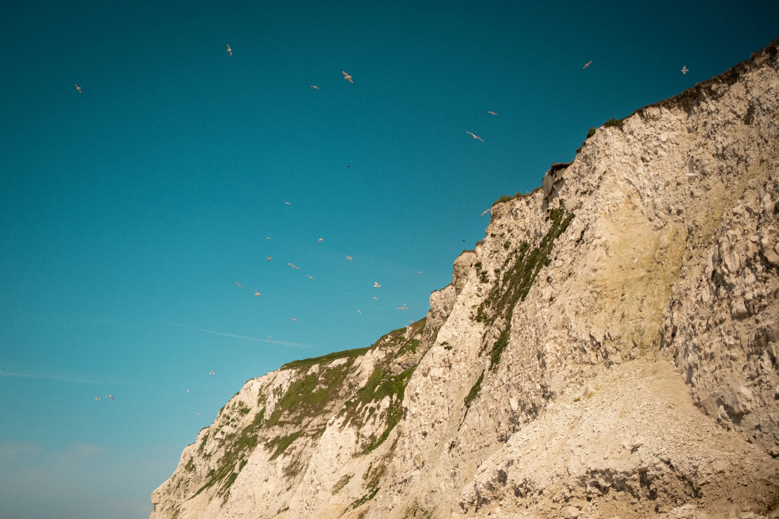 Seagulls flying over a steep, rocky cliff with sparse green vegetation against a clear blue sky.