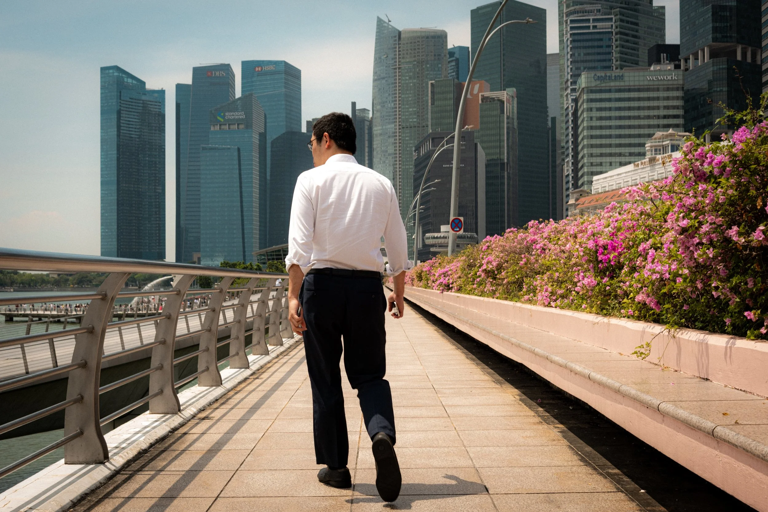 A man in business attire, with his back to the camera, walking on a city waterfront promenade with pink flowers on the side and a modern skyline in the background.