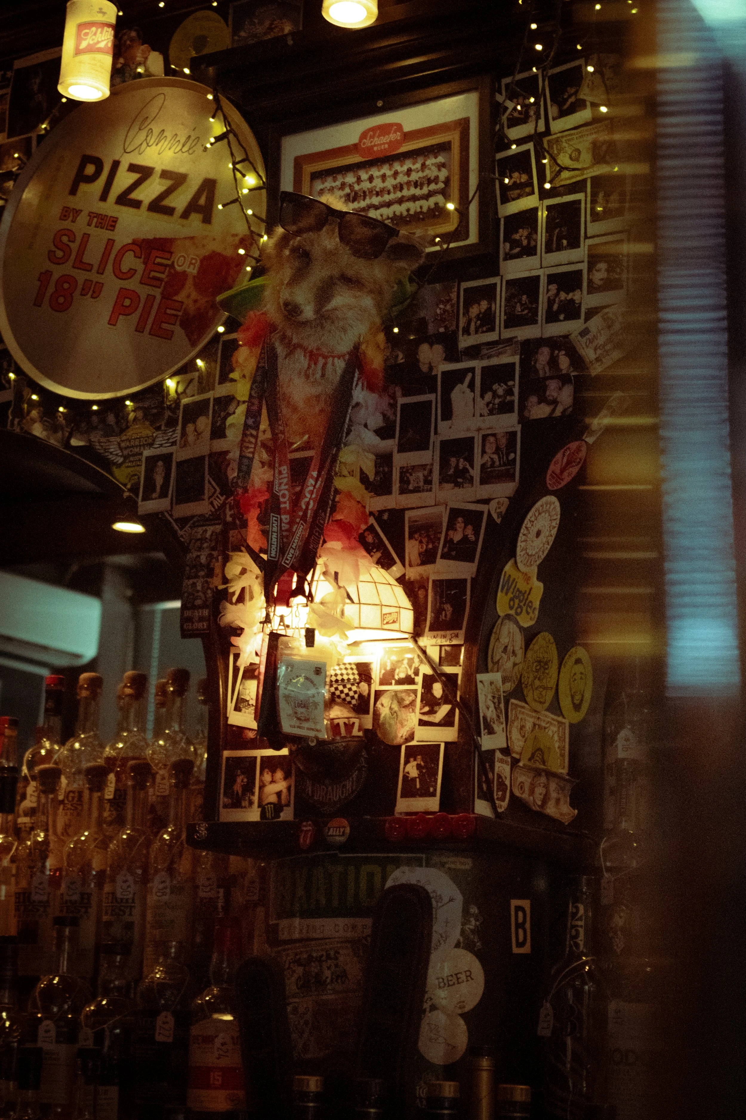 Bar wall decorated with photos, signs, lights, a dog with sunglasses and lei, and liquor bottles at the bottom.
